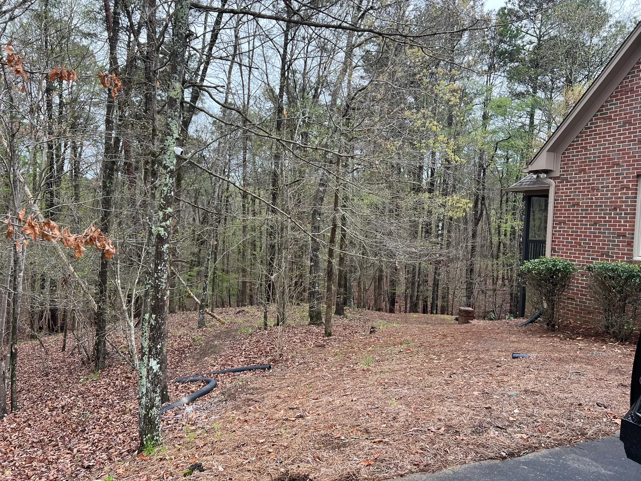 Backyard Clearing, Grading & Site Development — photo 29