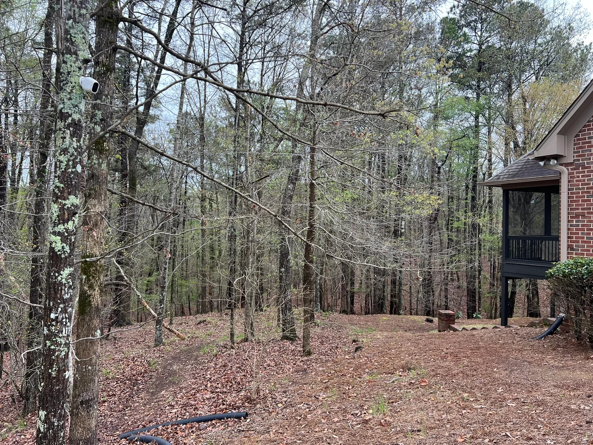 Backyard Clearing, Grading & Site Development — photo 22