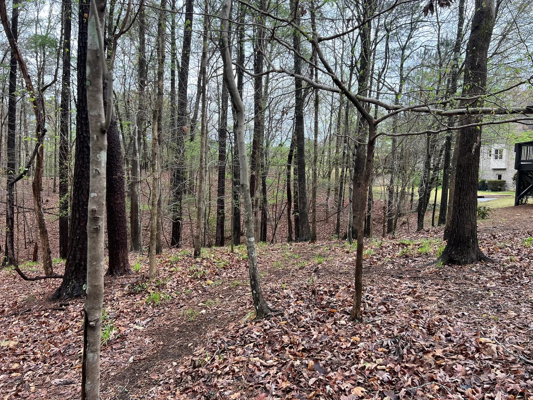 Backyard Clearing, Grading & Site Development — photo 24