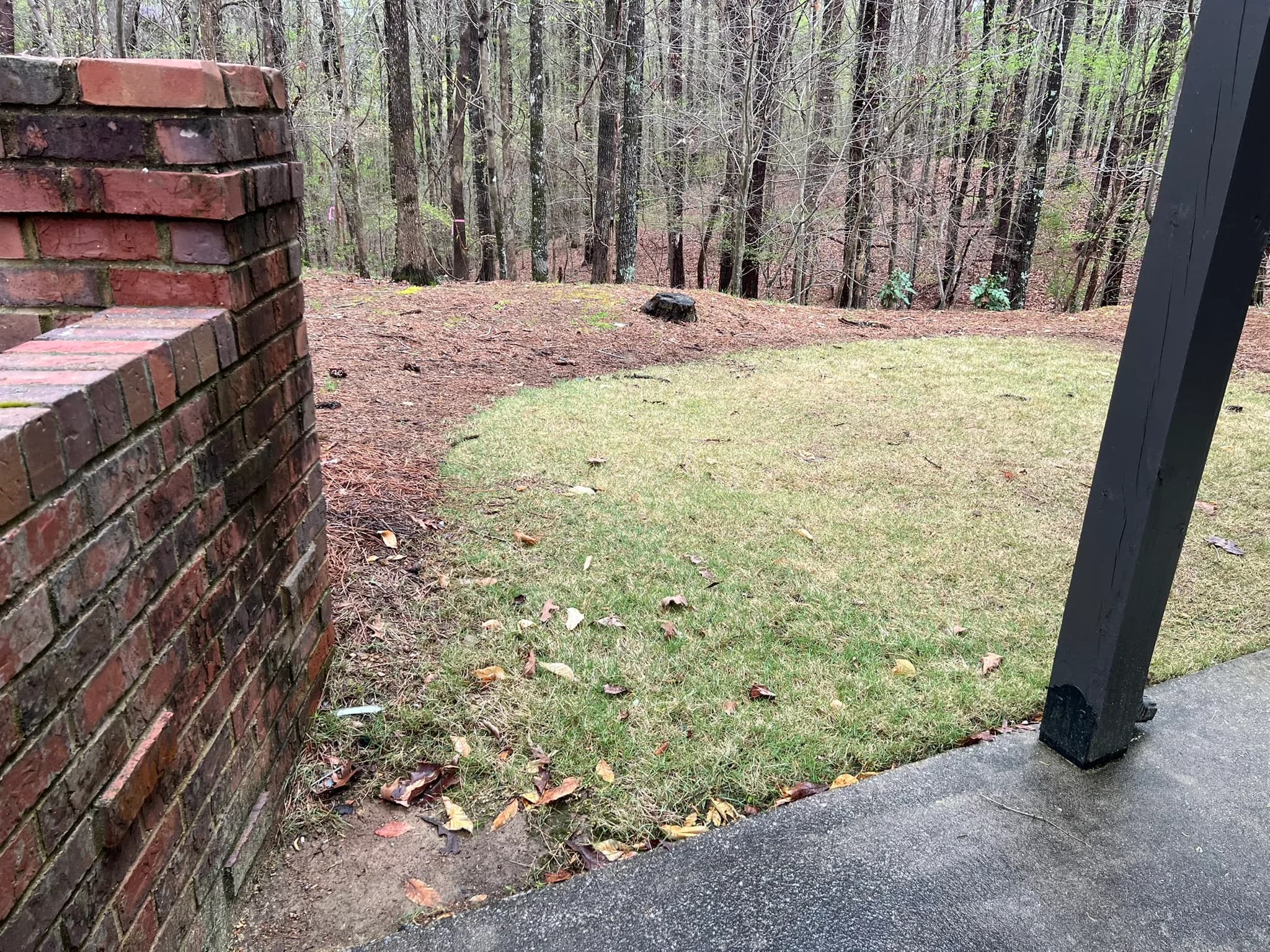 Backyard Clearing, Grading & Site Development — photo 9