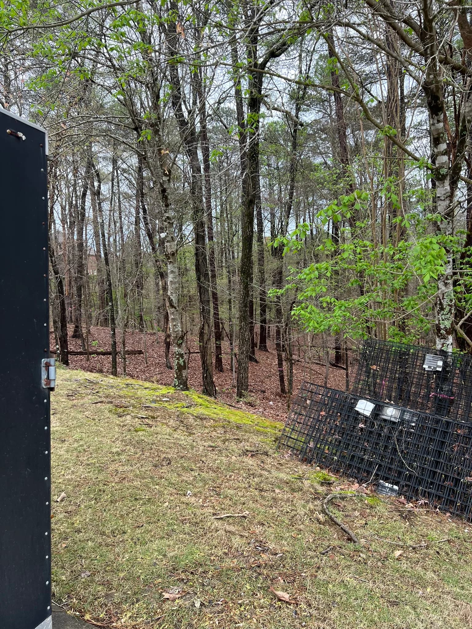 Backyard Clearing, Grading & Site Development — photo 8