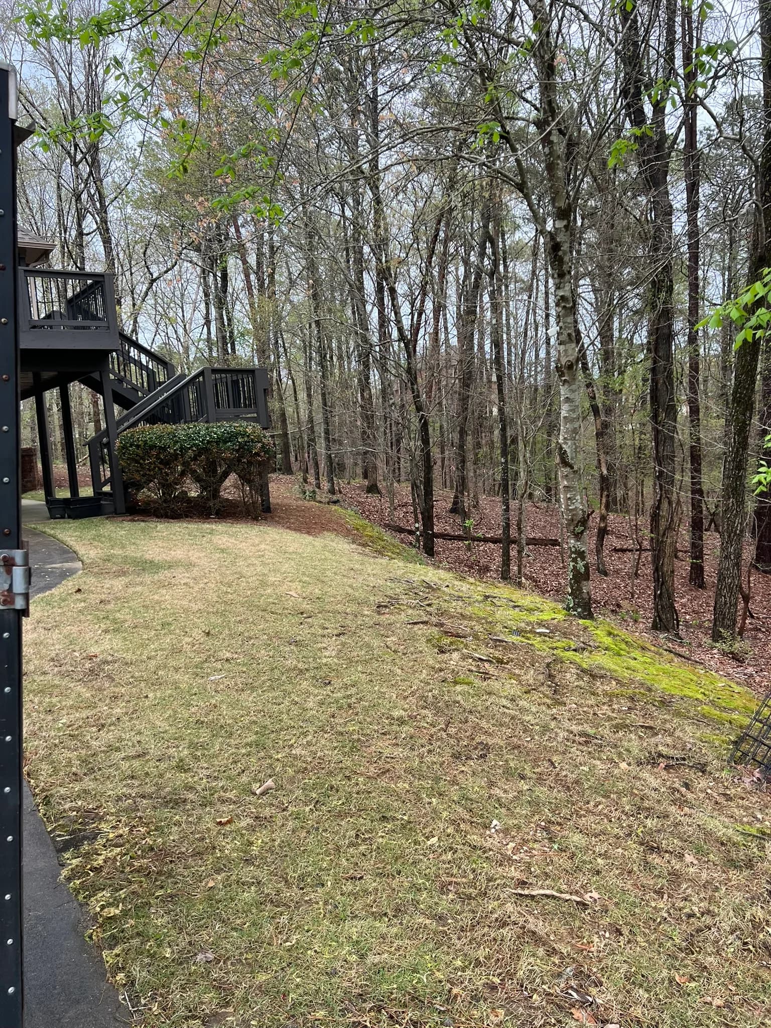 Backyard Clearing, Grading & Site Development — photo 26