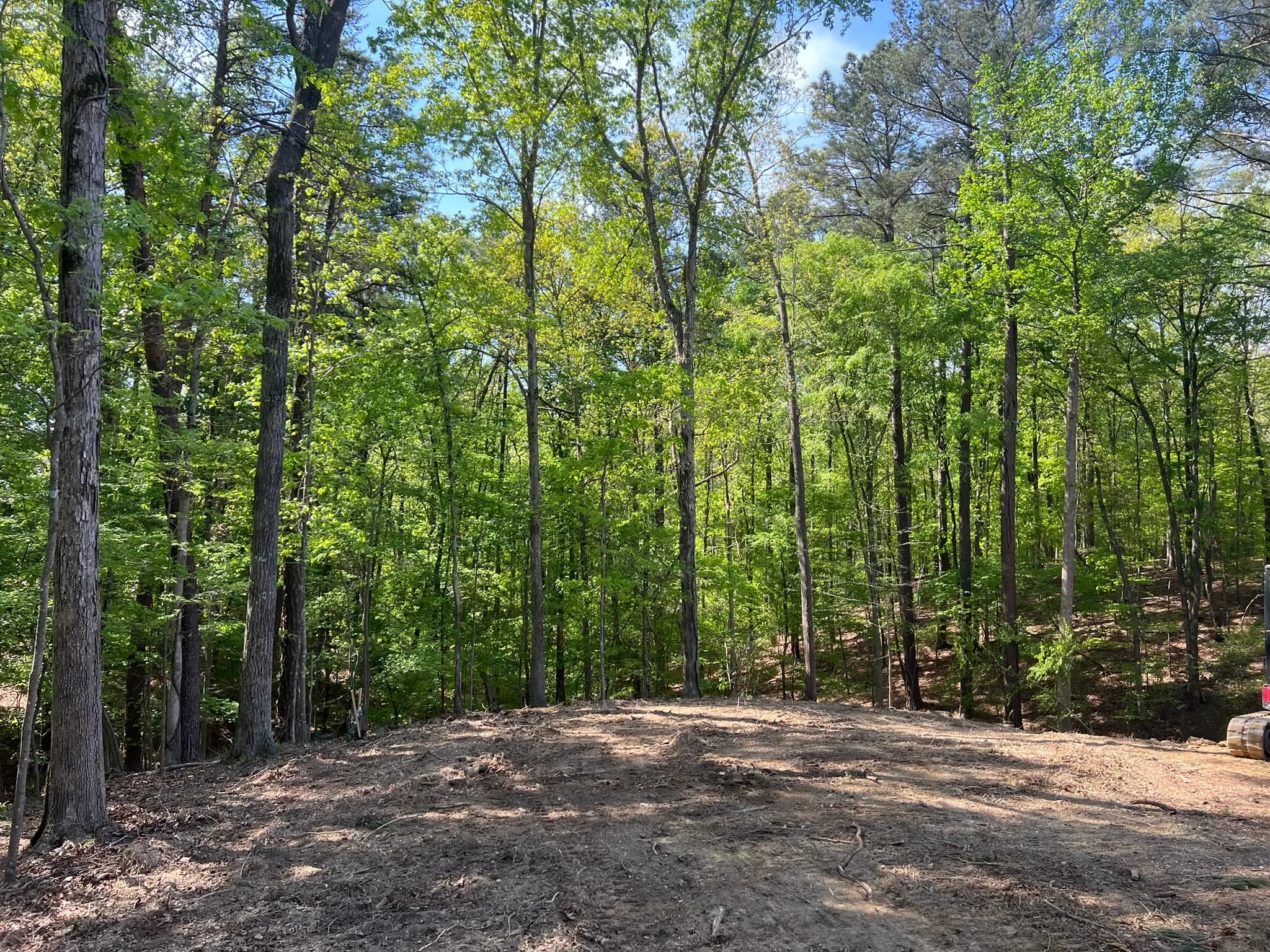 Backyard Clearing, Grading & Site Development — photo 27