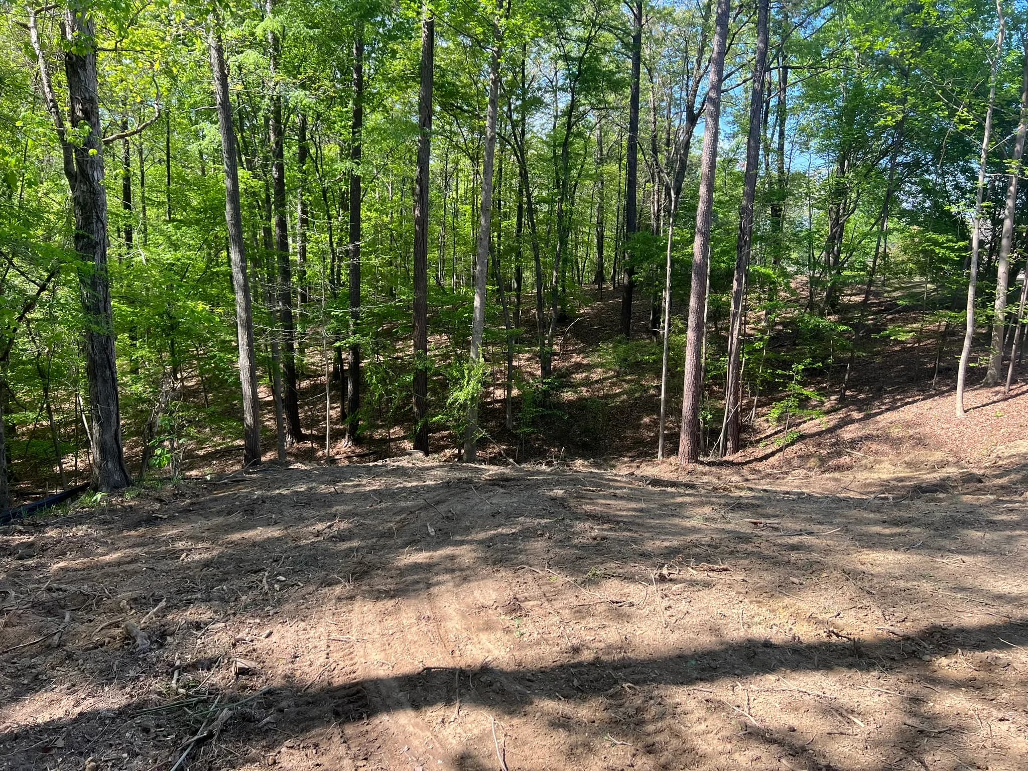Backyard Clearing, Grading & Site Development — photo 23