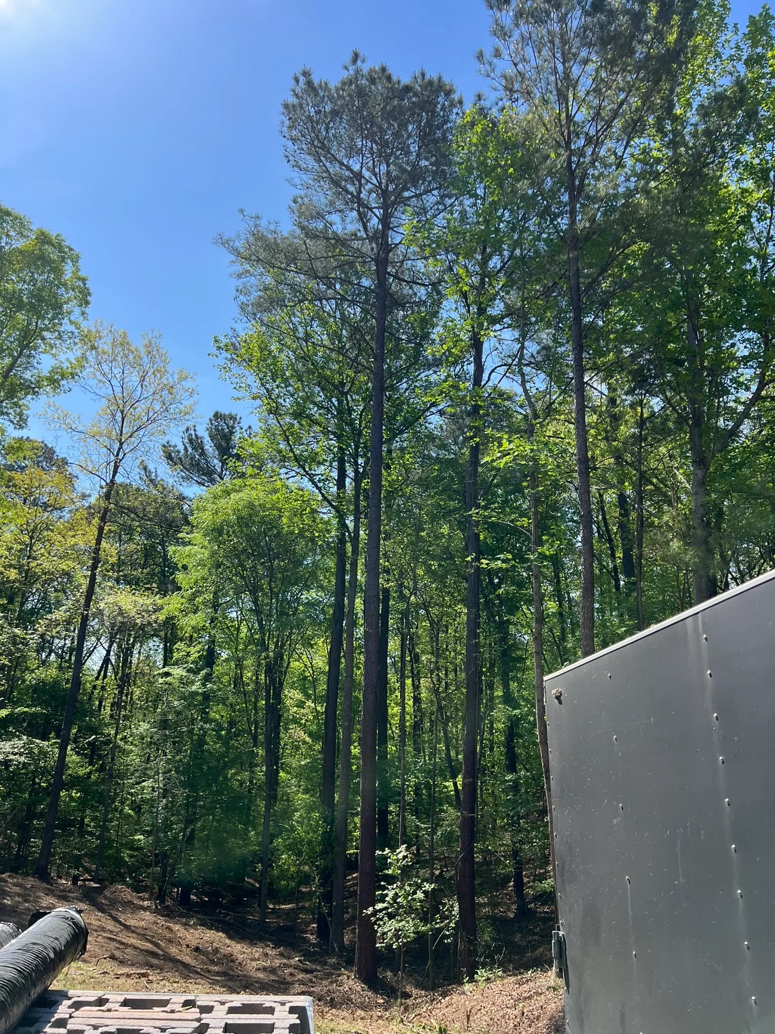Backyard Clearing, Grading & Site Development — photo 10