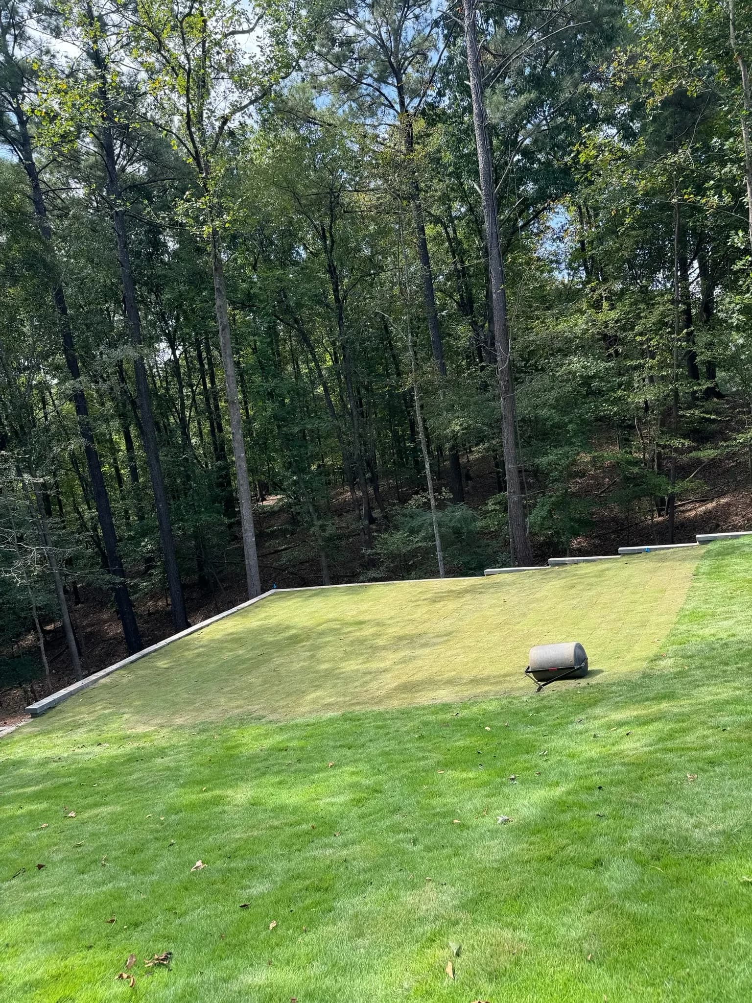 Backyard Clearing, Grading & Site Development — photo 19