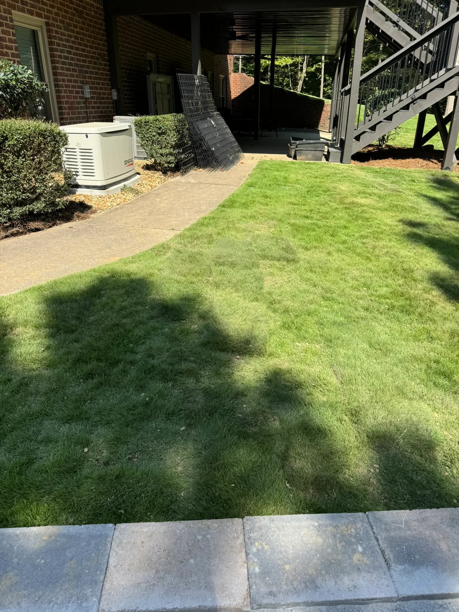 Backyard Clearing, Grading & Site Development — photo 4