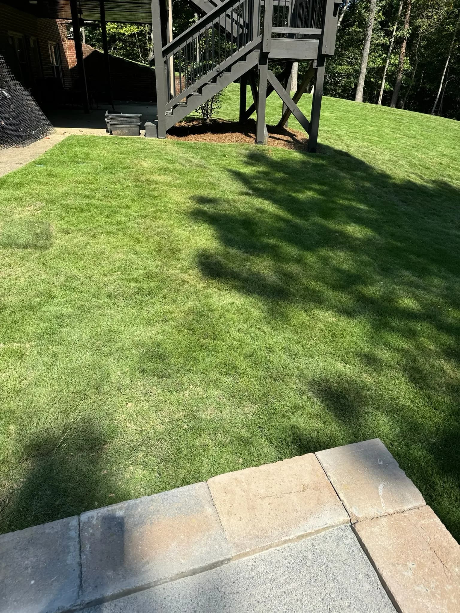 Backyard Clearing, Grading & Site Development — photo 5