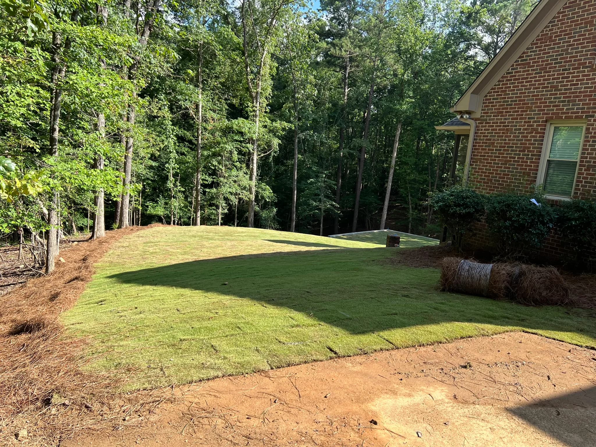Backyard Clearing, Grading & Site Development — photo 2