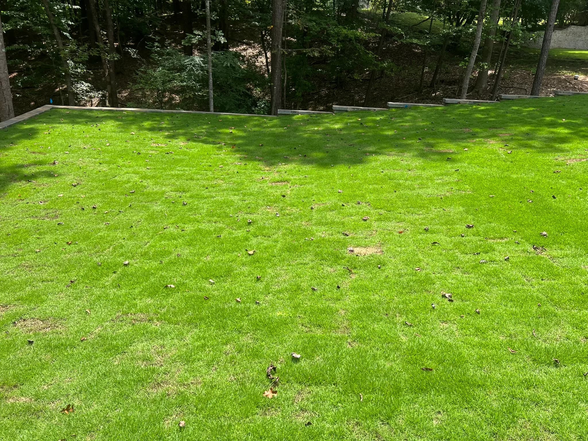 Backyard Clearing, Grading & Site Development — photo 21