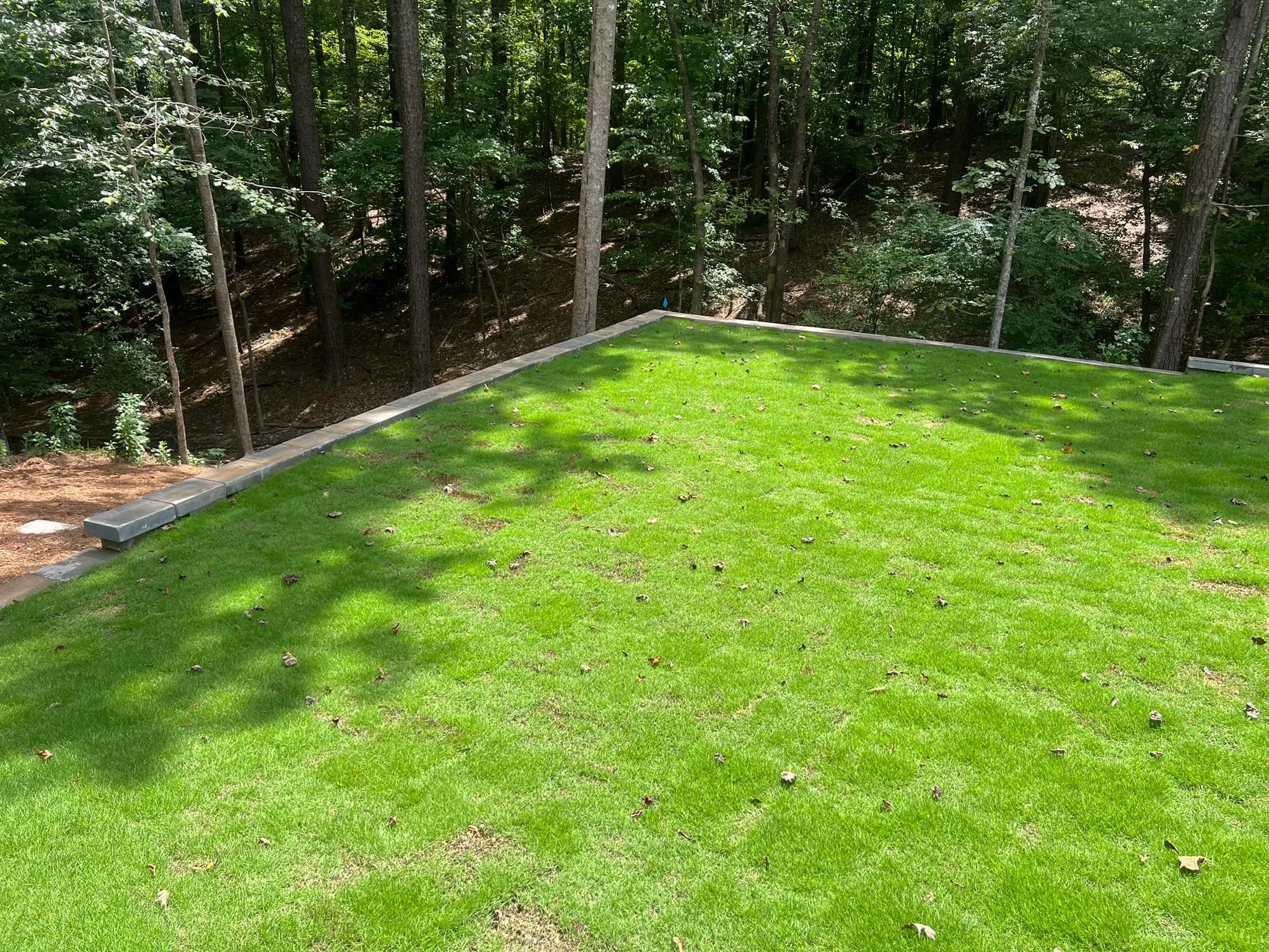 Backyard Clearing, Grading & Site Development — photo 3