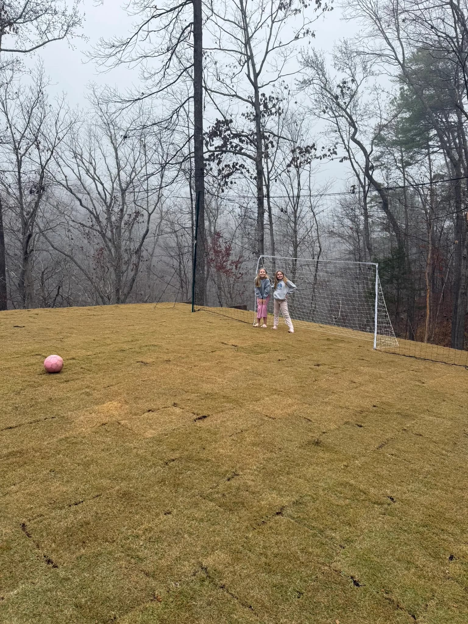 Cross Tie Retaining Wall, Stairs & Backyard Grading — photo 11