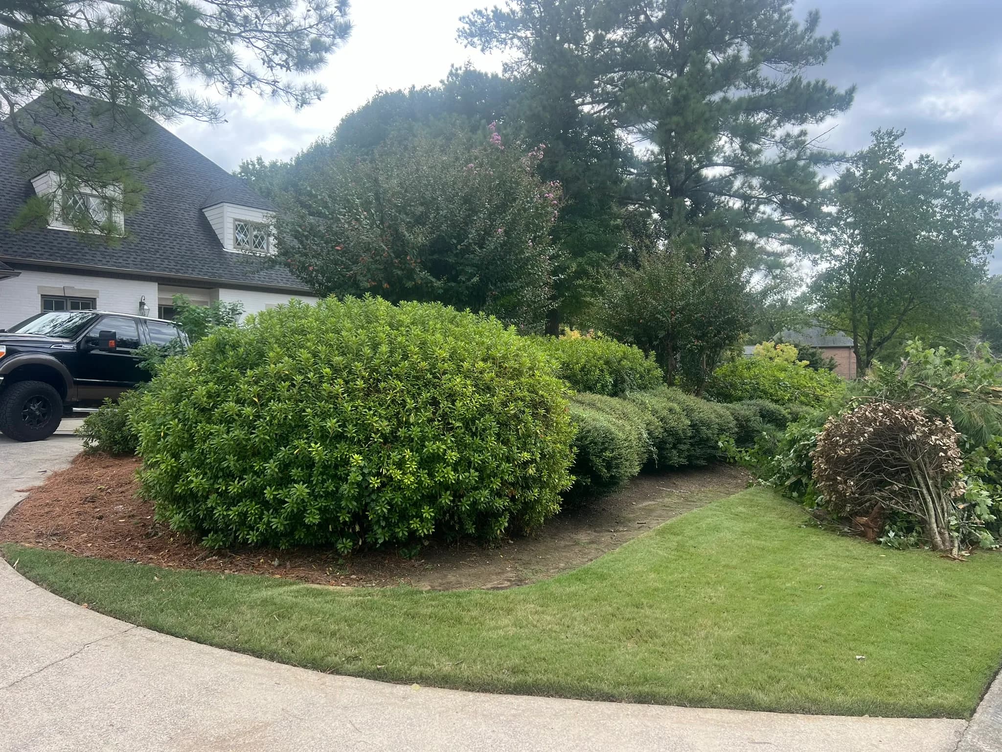 Pool & Backyard Redevelopment with Hardscape Installation — photo 21