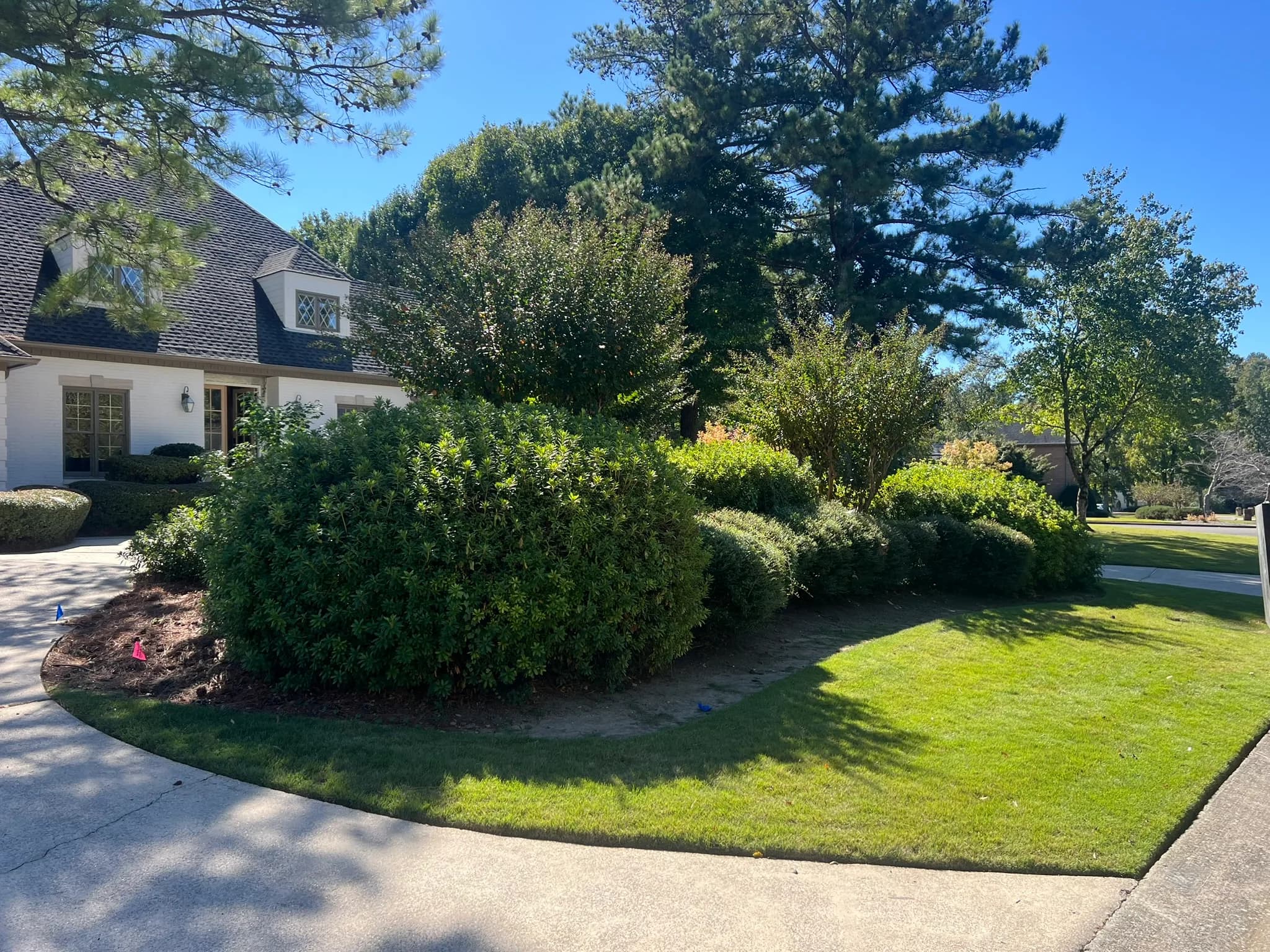 Pool & Backyard Redevelopment with Hardscape Installation — photo 29