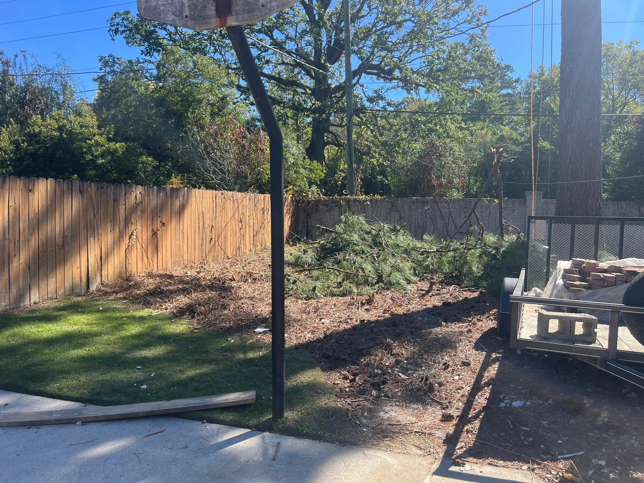 Pool & Backyard Redevelopment with Hardscape Installation — photo 6