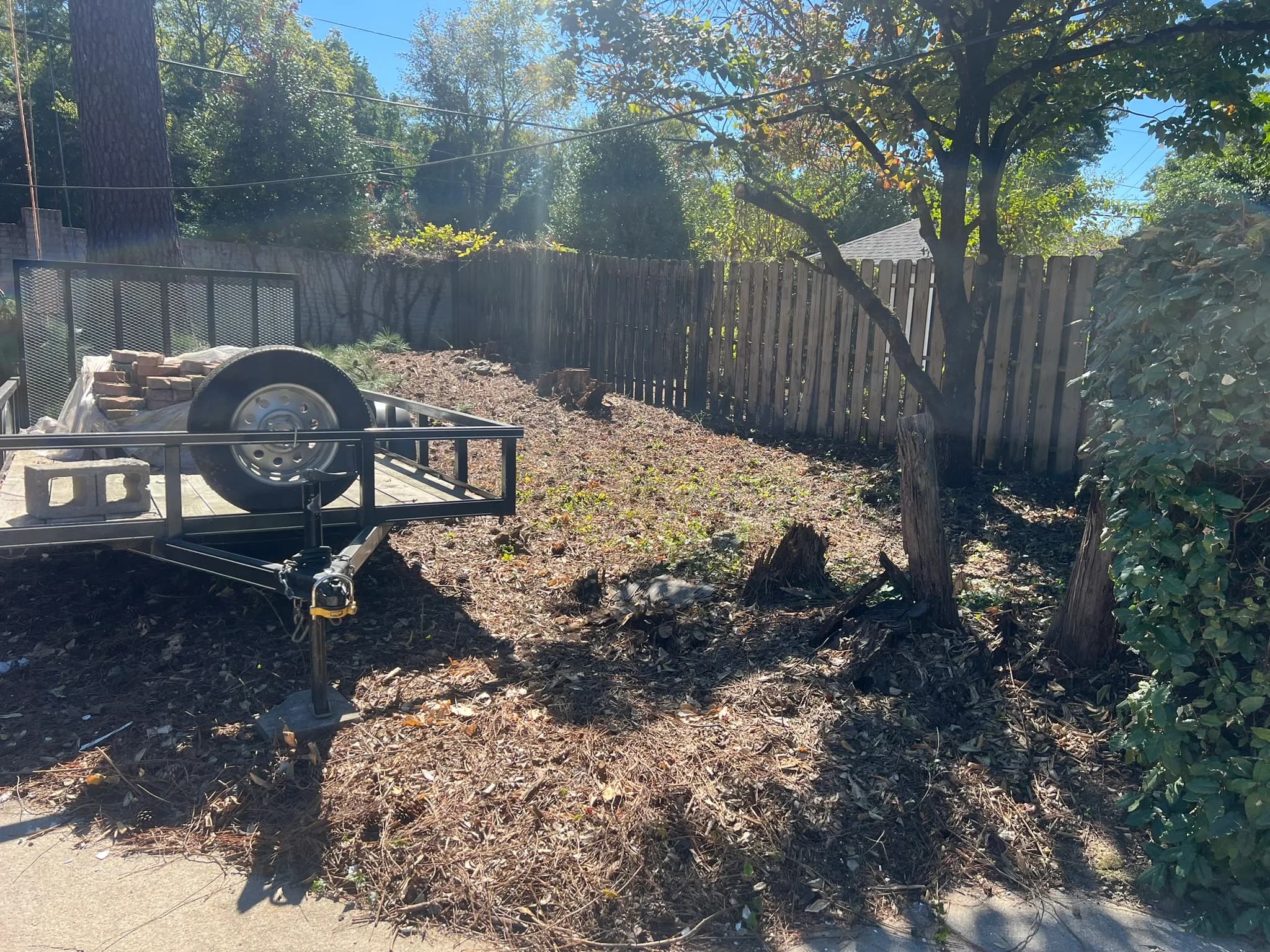 Pool & Backyard Redevelopment with Hardscape Installation — photo 12