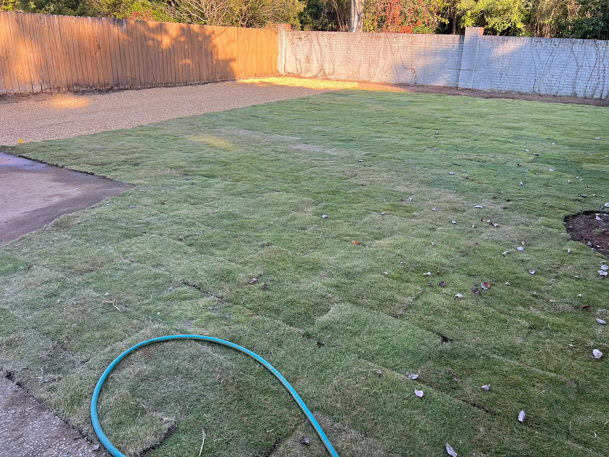 Pool & Backyard Redevelopment with Hardscape Installation — photo 10