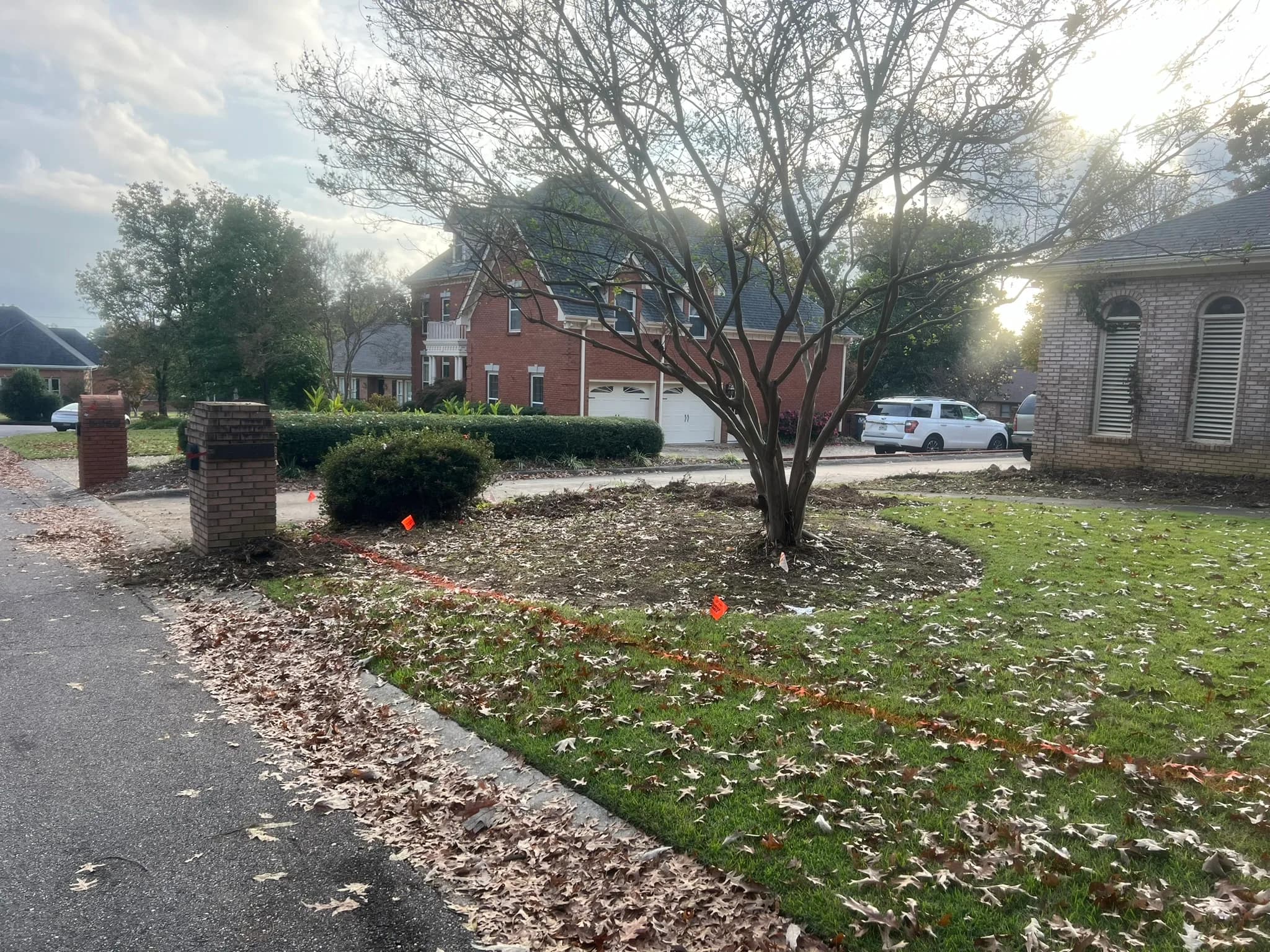 Pool & Backyard Redevelopment with Hardscape Installation — photo 33