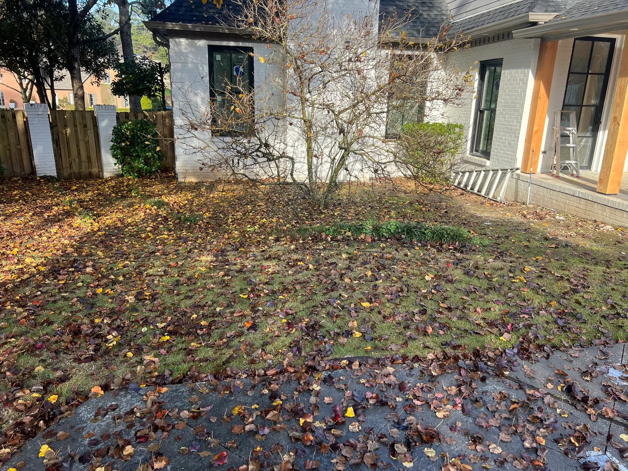 Pool & Backyard Redevelopment with Hardscape Installation — photo 27