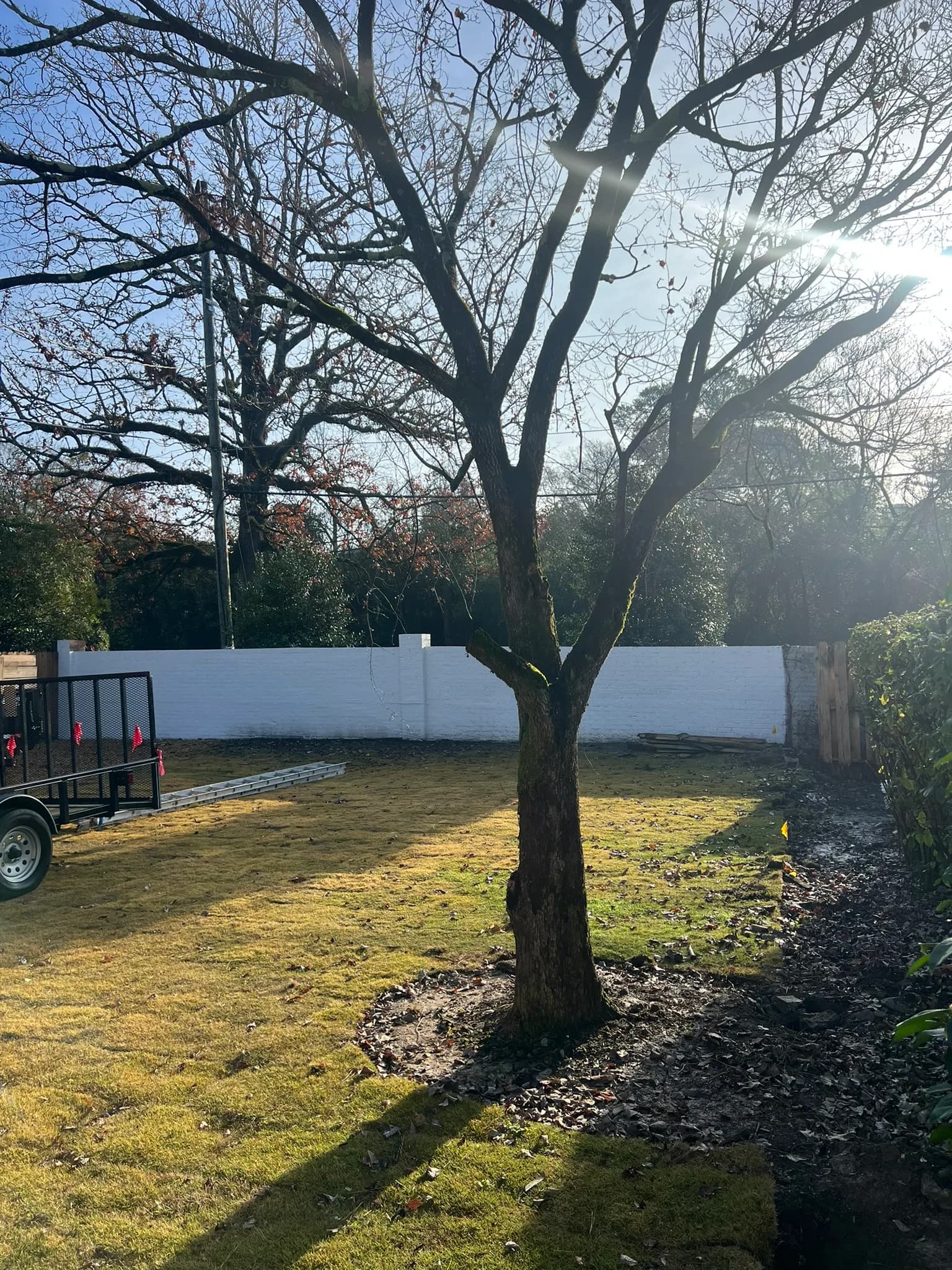 Pool & Backyard Redevelopment with Hardscape Installation — photo 32