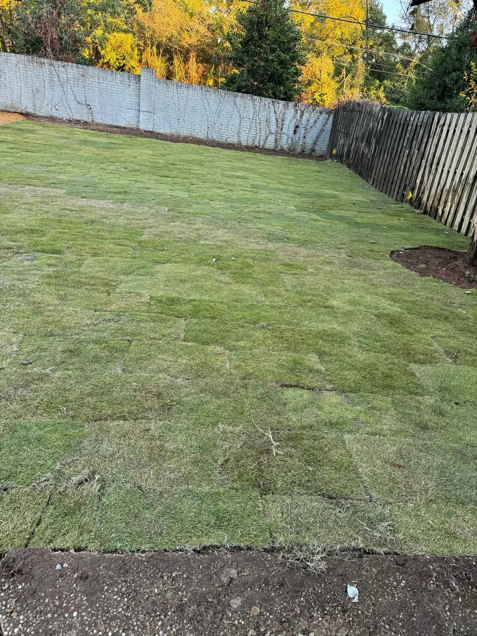 Pool & Backyard Redevelopment with Hardscape Installation — photo 19