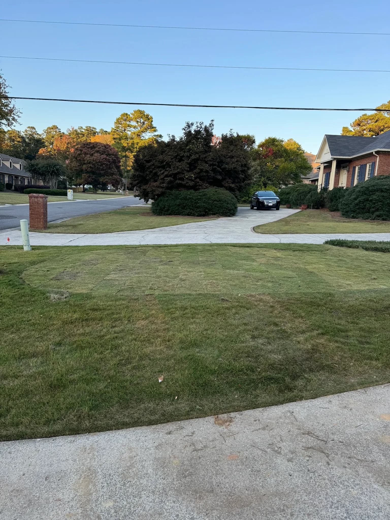 Pool & Backyard Redevelopment with Hardscape Installation — photo 17