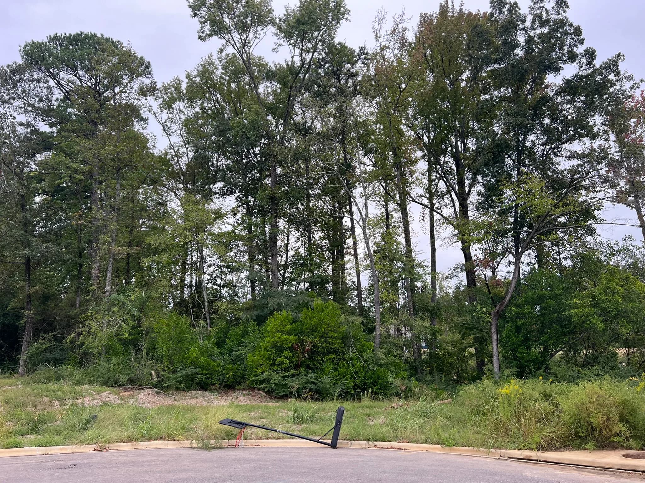Comprehensive Land Clearing and Site Preparation Project — photo 15