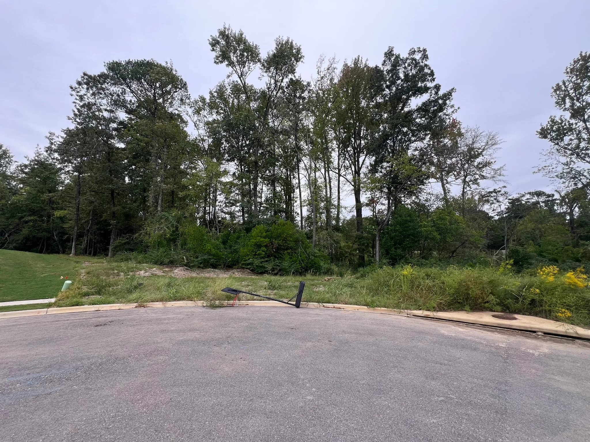 Comprehensive Land Clearing and Site Preparation Project — photo 4
