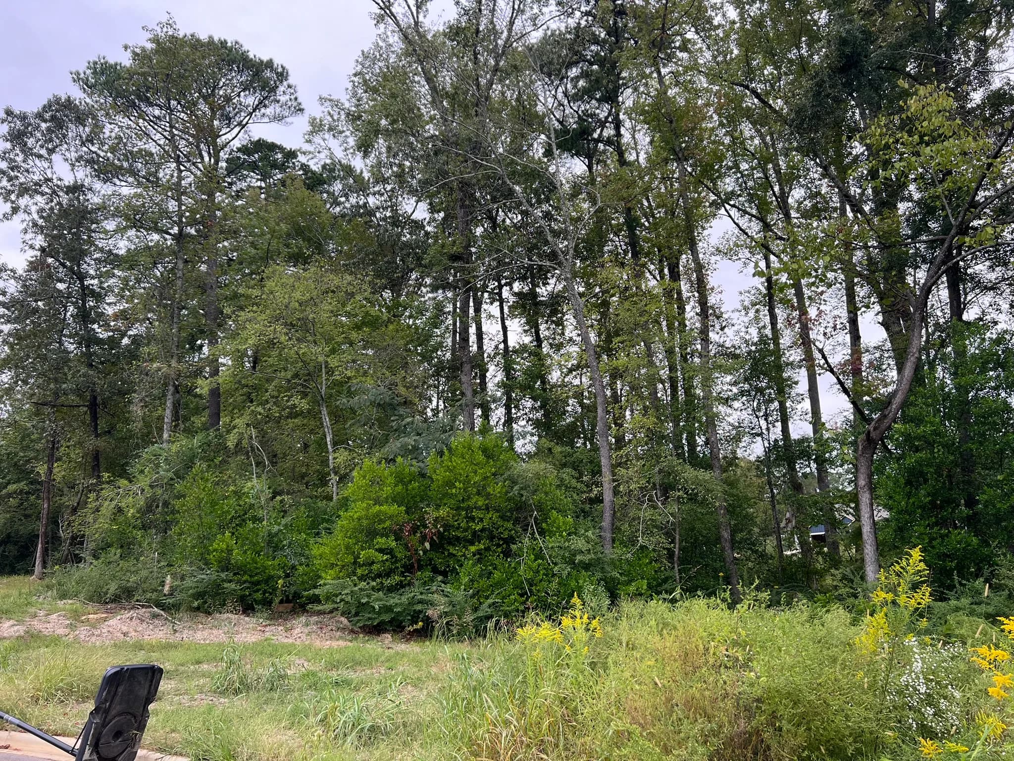 Comprehensive Land Clearing and Site Preparation Project — photo 19