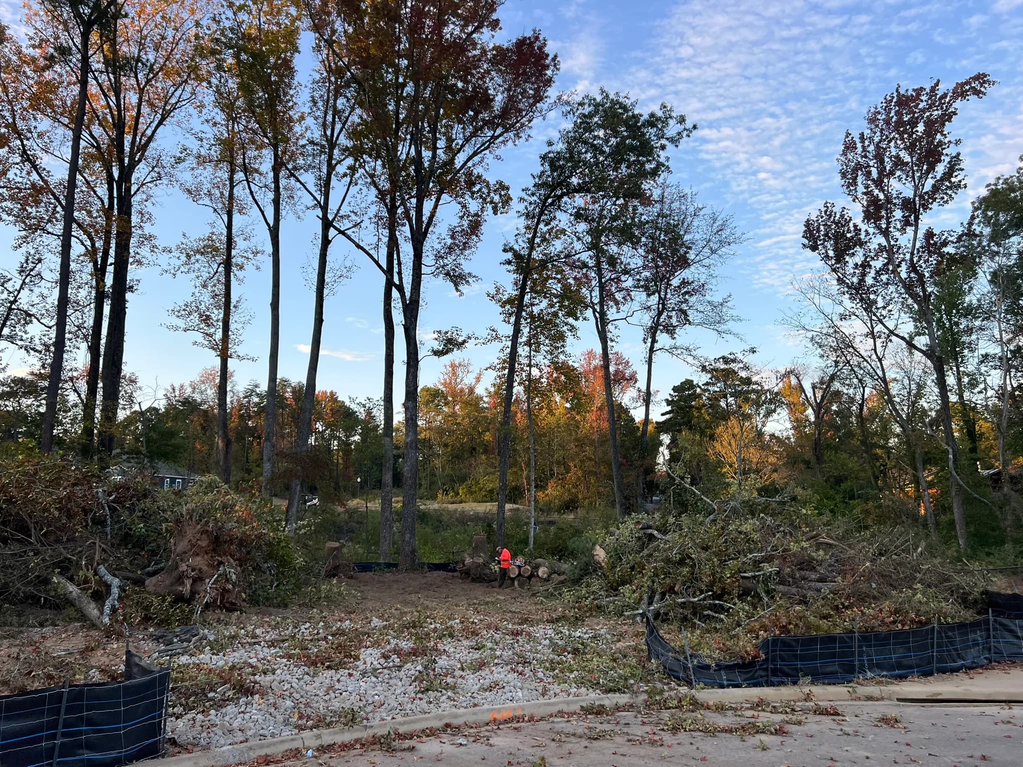 Comprehensive Land Clearing and Site Preparation Project — photo 2