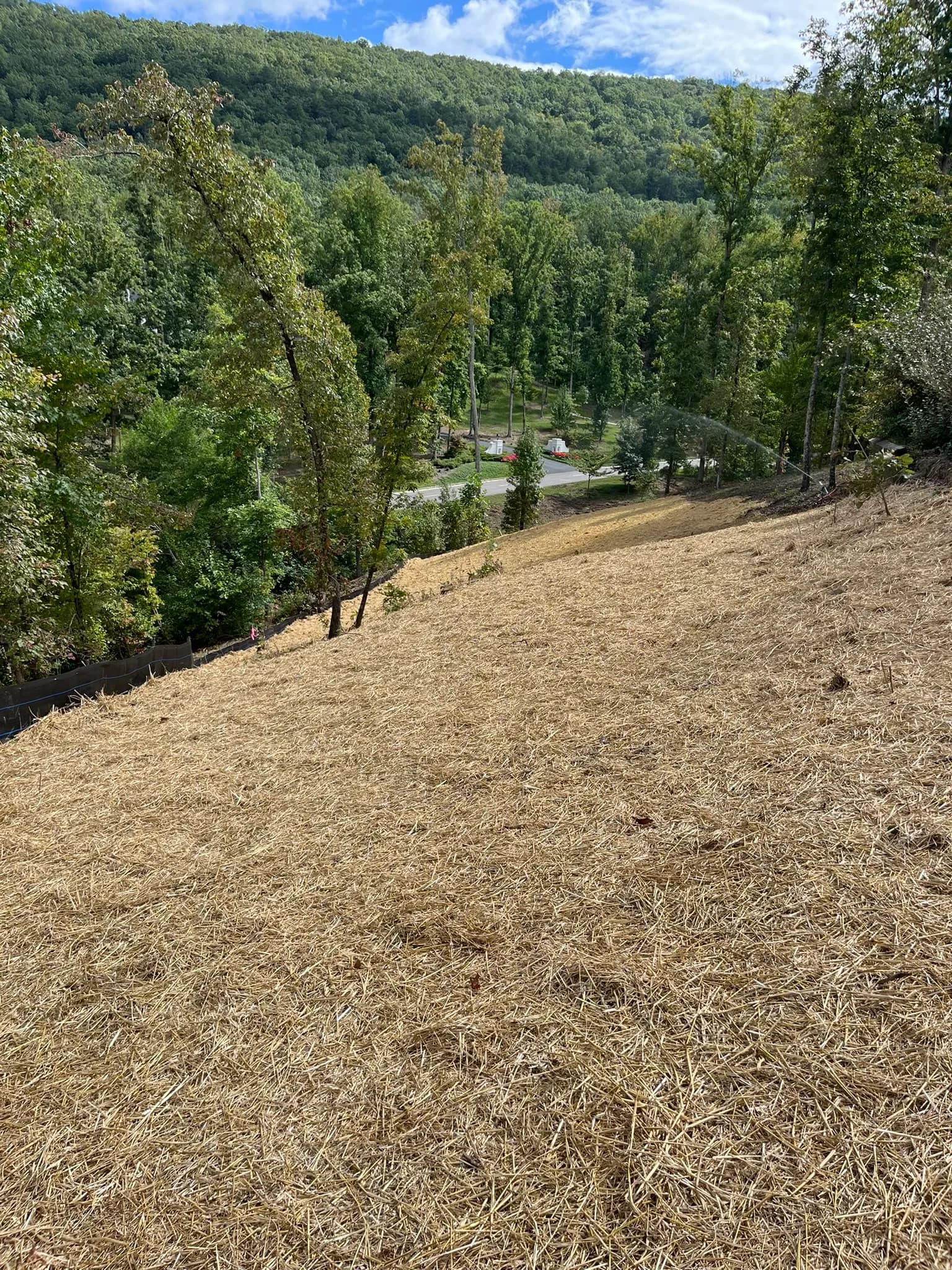 Land Clearing and Erosion Control Preparation — photo 20