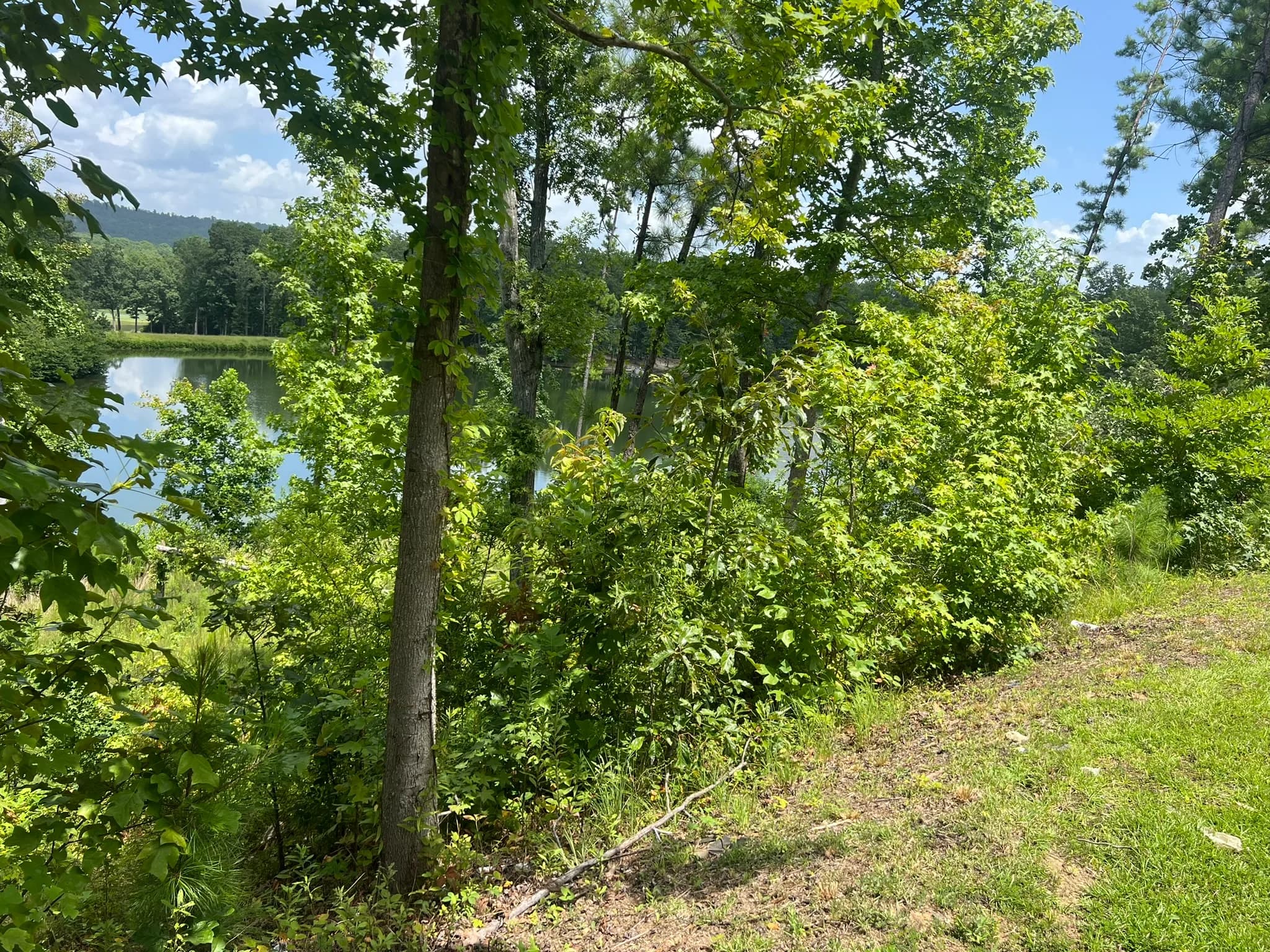 Land Clearing and Erosion Control Preparation — photo 15