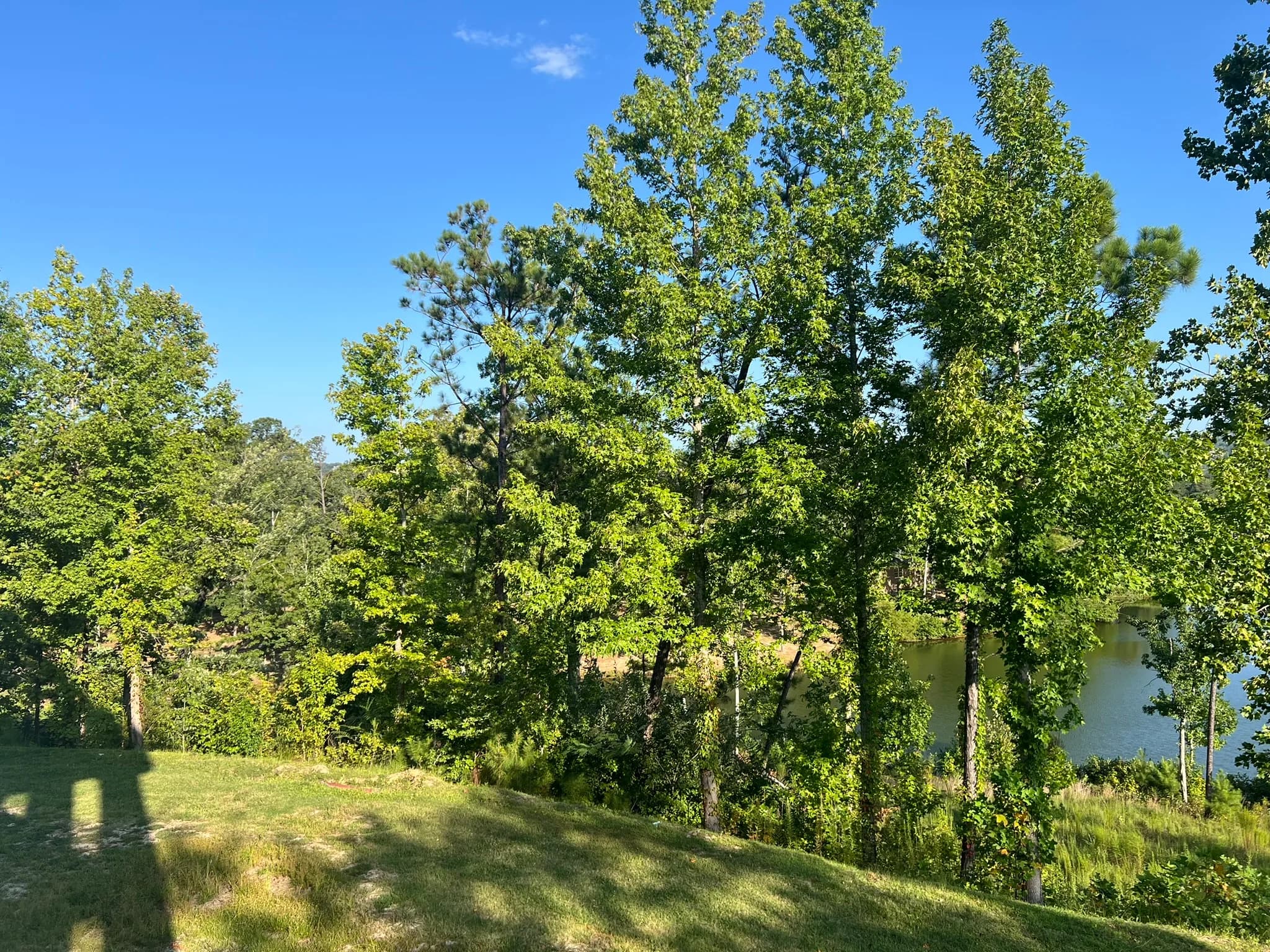 Land Clearing and Erosion Control Preparation — photo 4