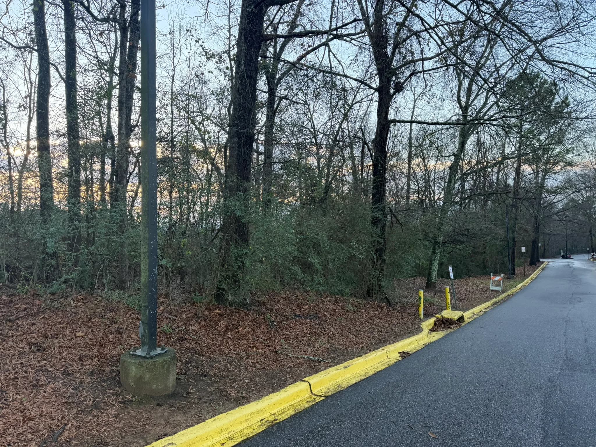 Comprehensive Land Clearing and Site Preparation — photo 13