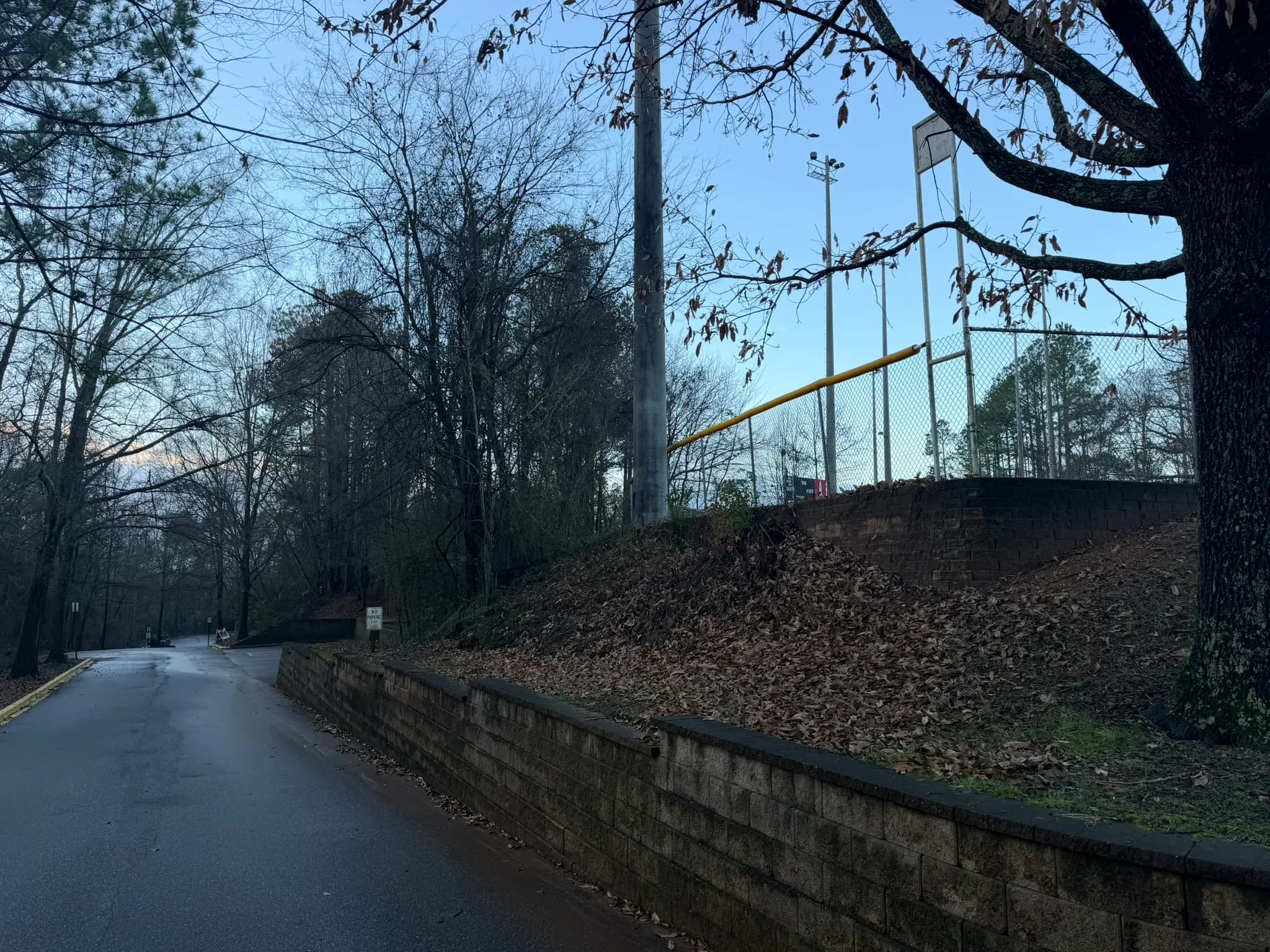 Comprehensive Land Clearing and Site Preparation — photo 37