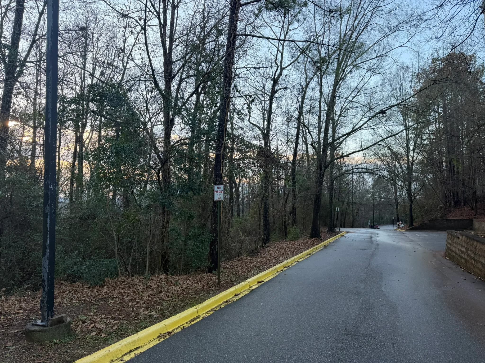 Comprehensive Land Clearing and Site Preparation — photo 34