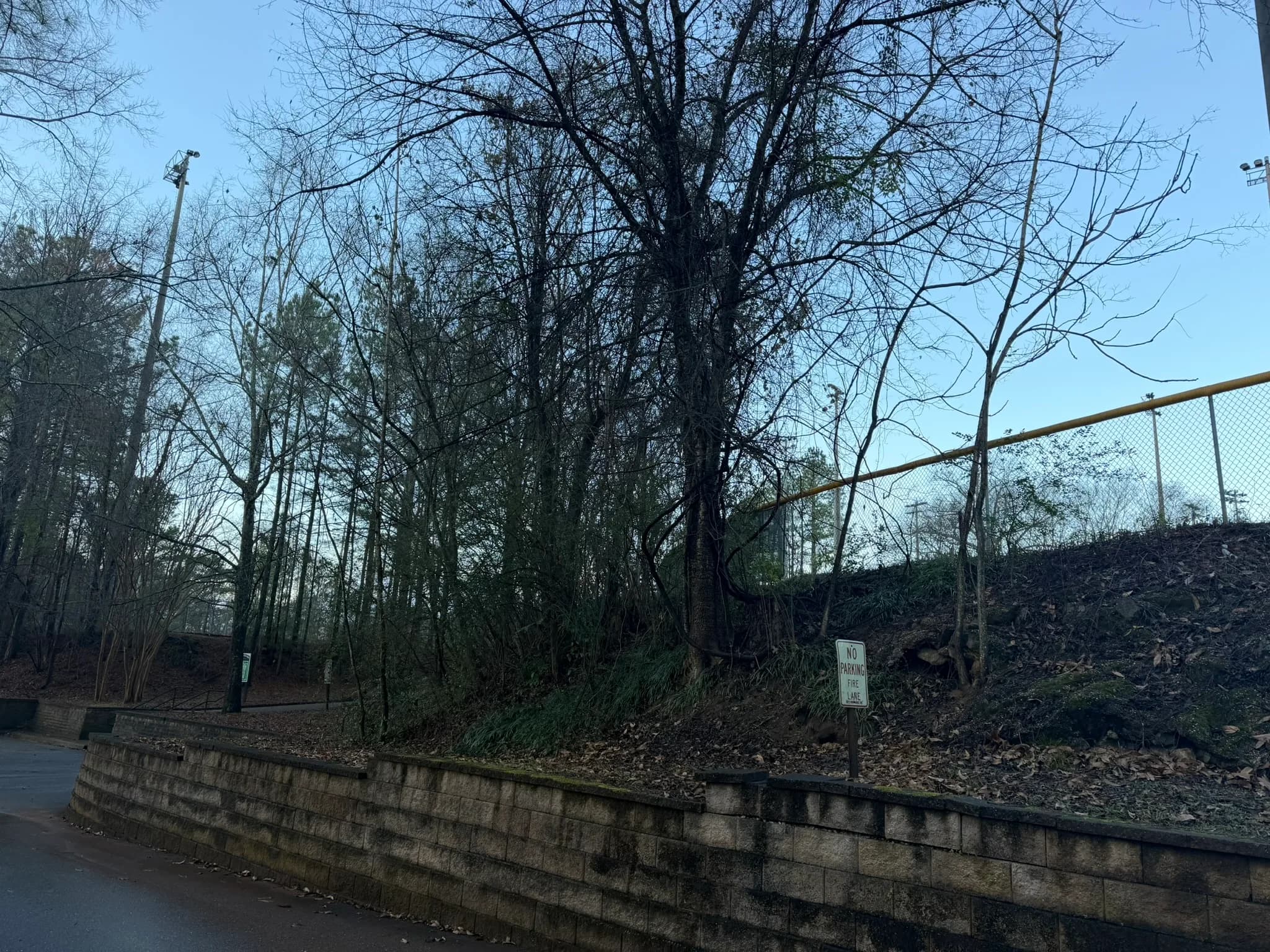 Comprehensive Land Clearing and Site Preparation — photo 6