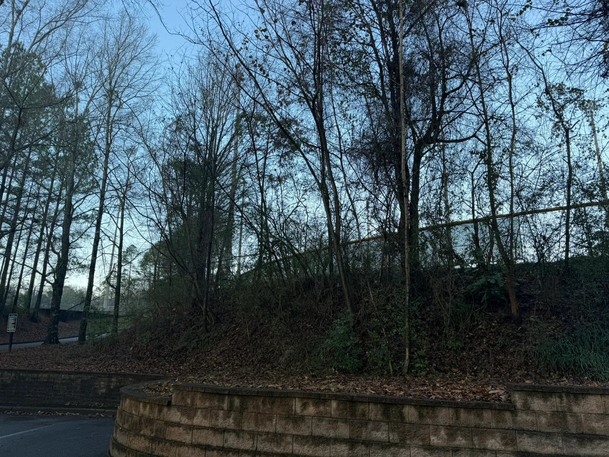 Comprehensive Land Clearing and Site Preparation — photo 24