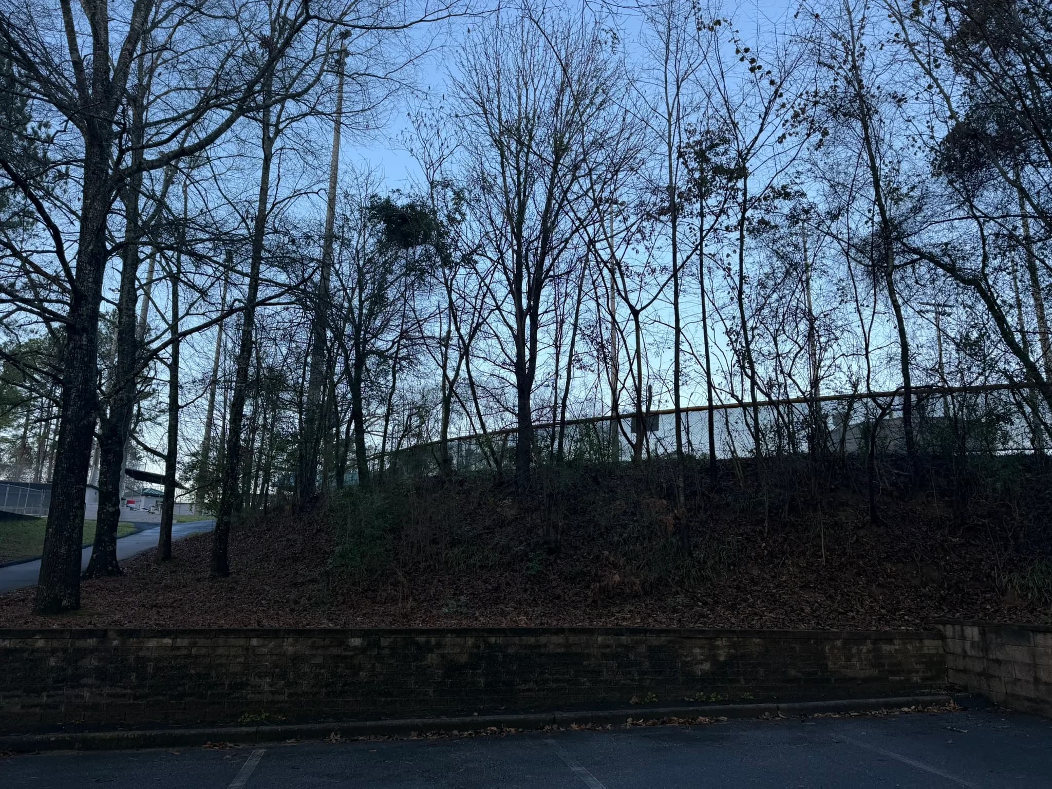 Comprehensive Land Clearing and Site Preparation — photo 5