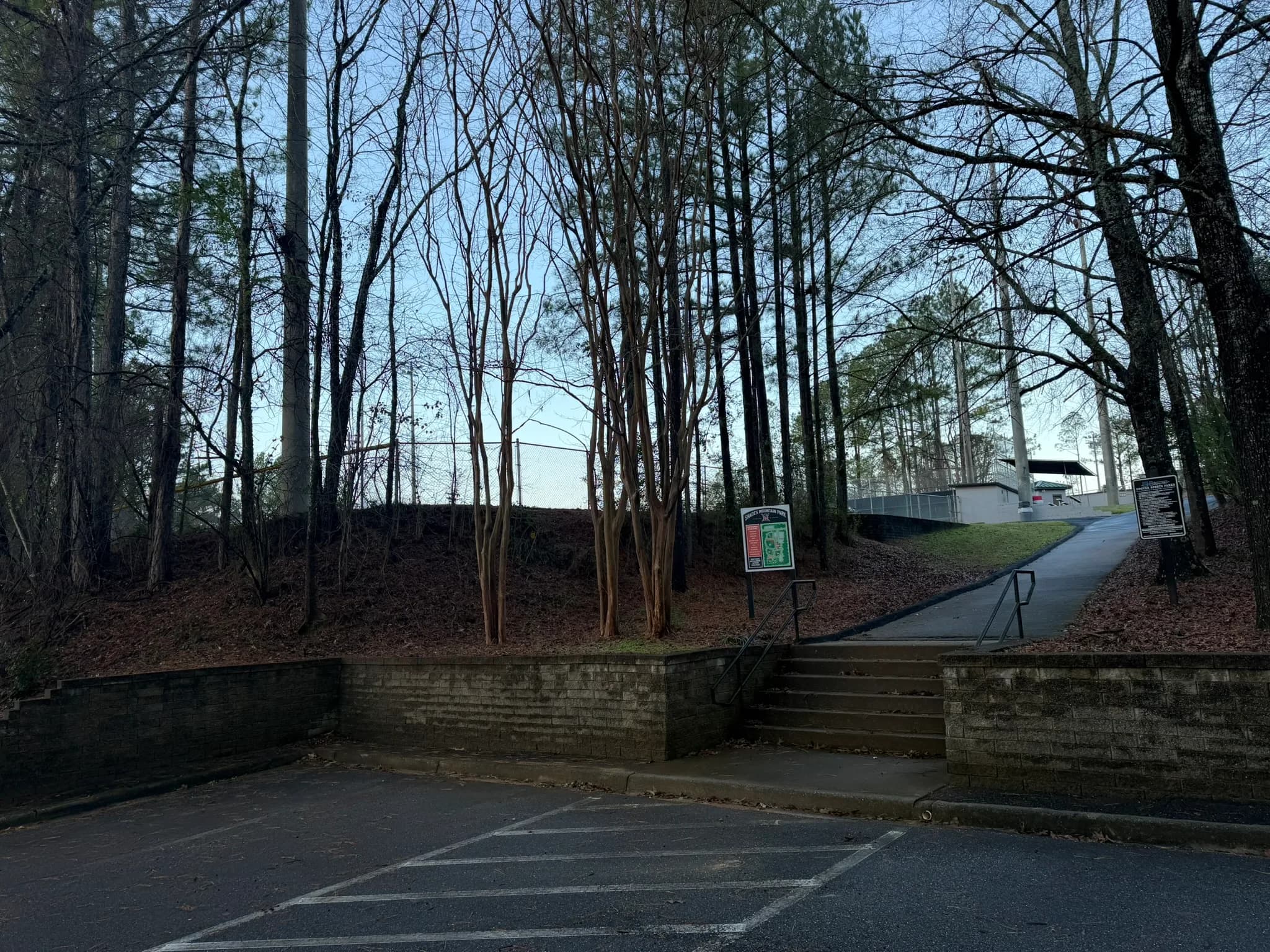 Comprehensive Land Clearing and Site Preparation — photo 45