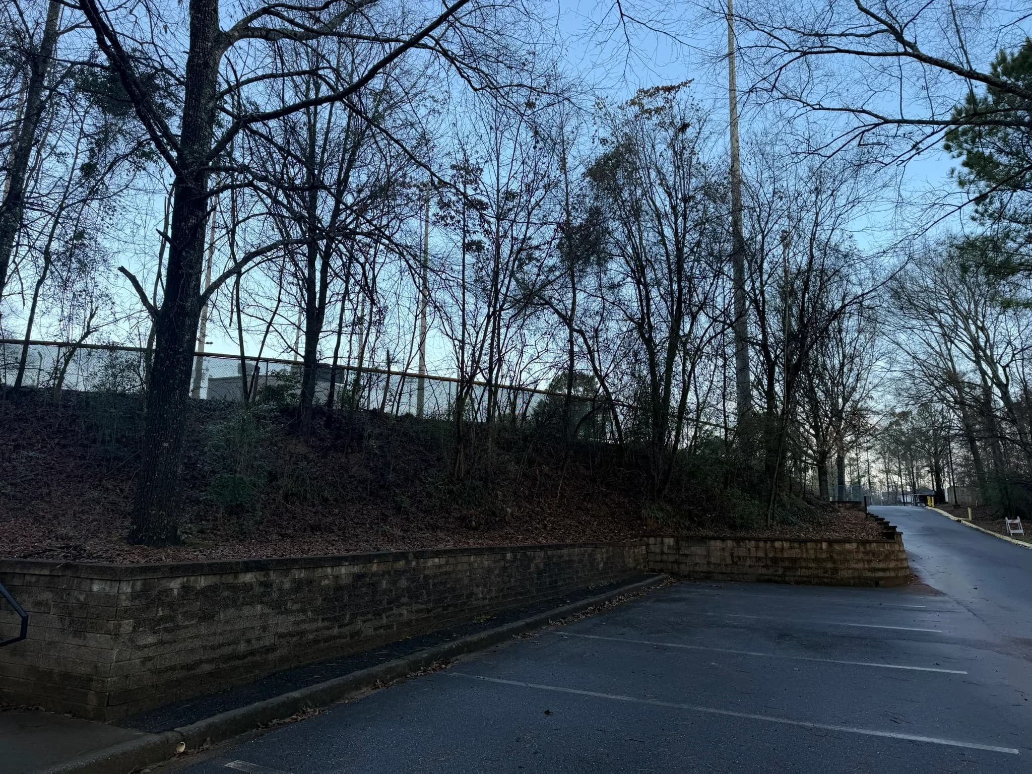 Comprehensive Land Clearing and Site Preparation — photo 36