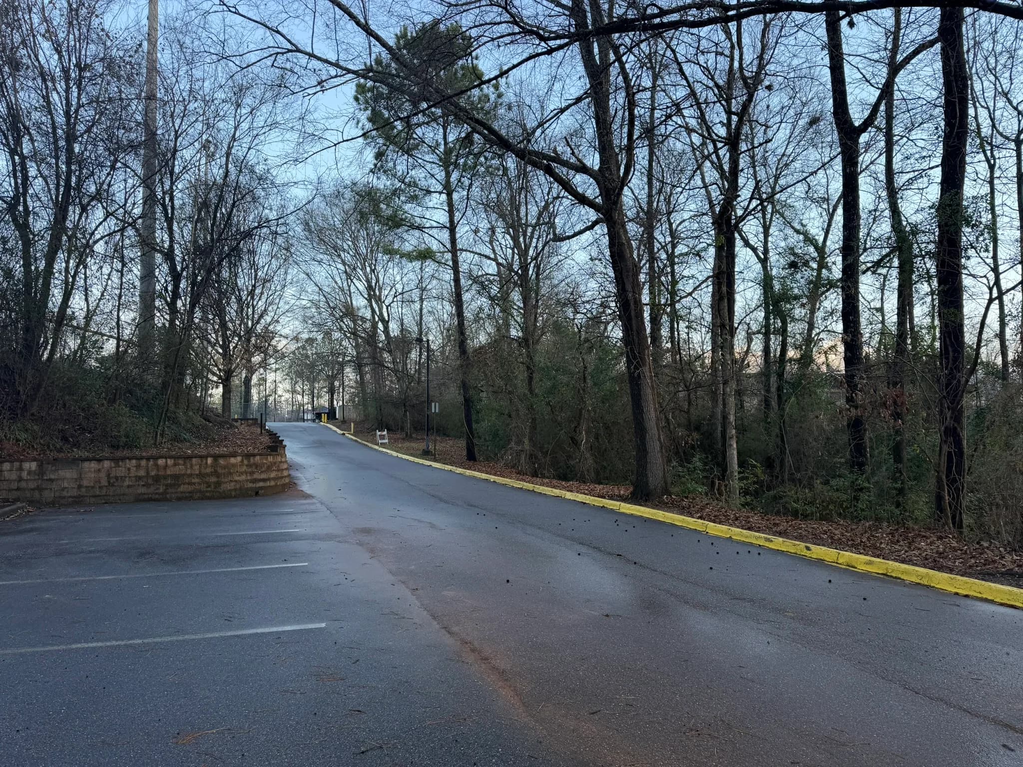 Comprehensive Land Clearing and Site Preparation — photo 41