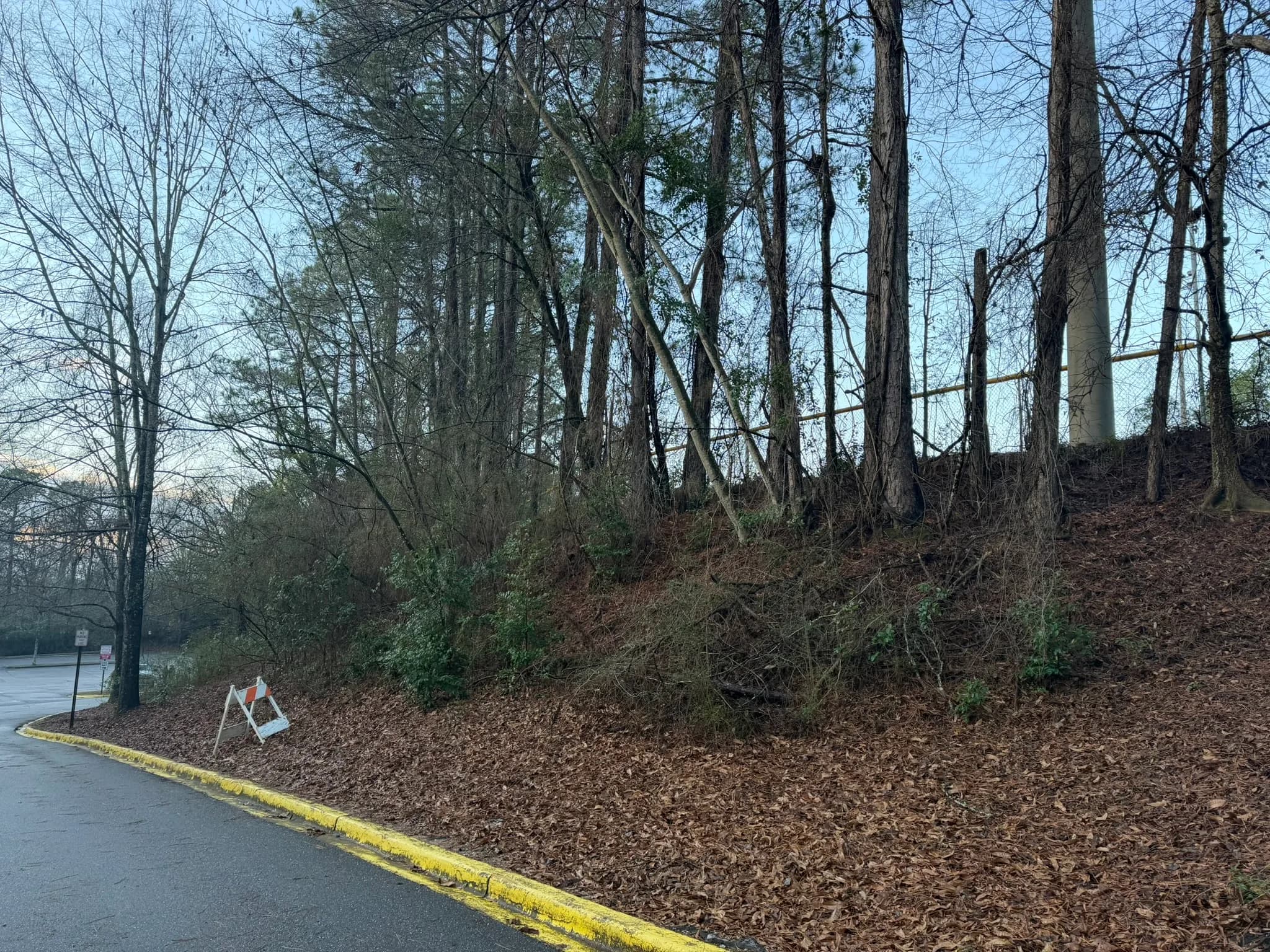 Comprehensive Land Clearing and Site Preparation — photo 26