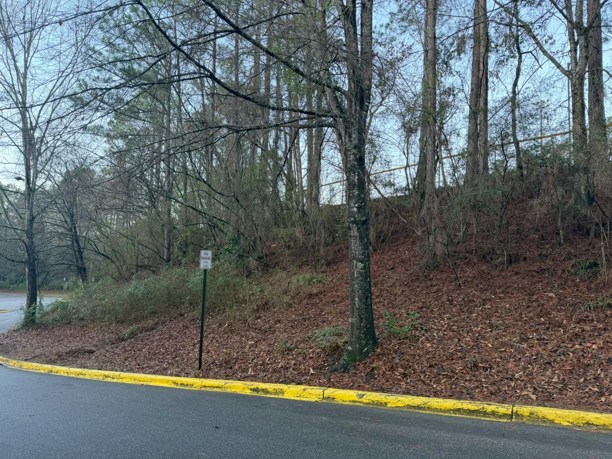 Comprehensive Land Clearing and Site Preparation — photo 38