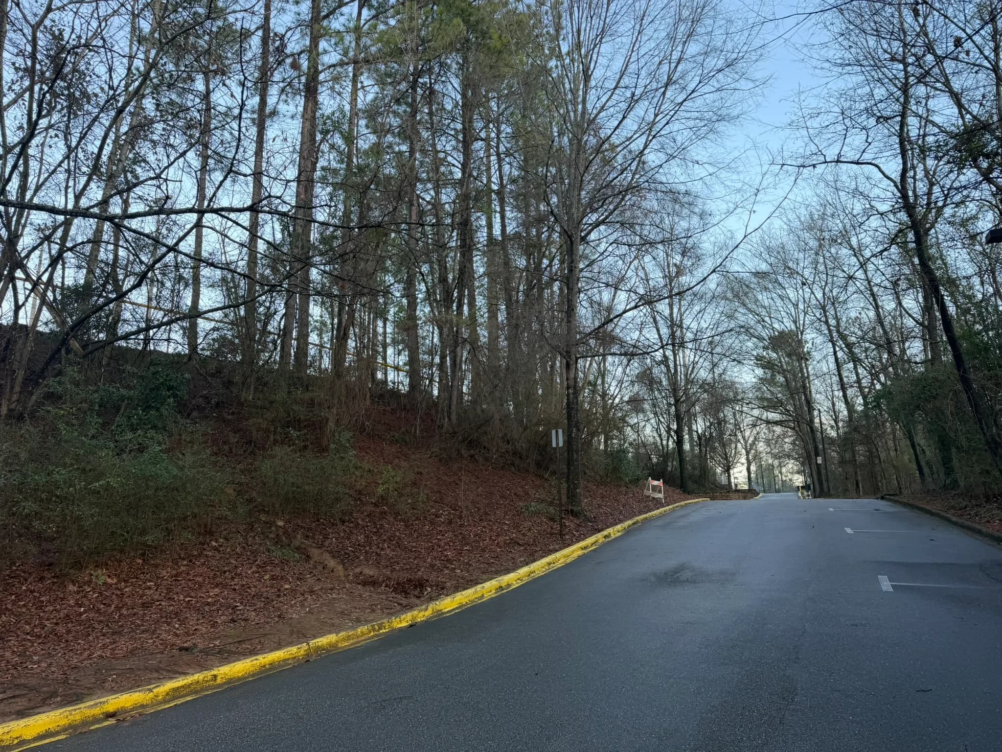 Comprehensive Land Clearing and Site Preparation — photo 25