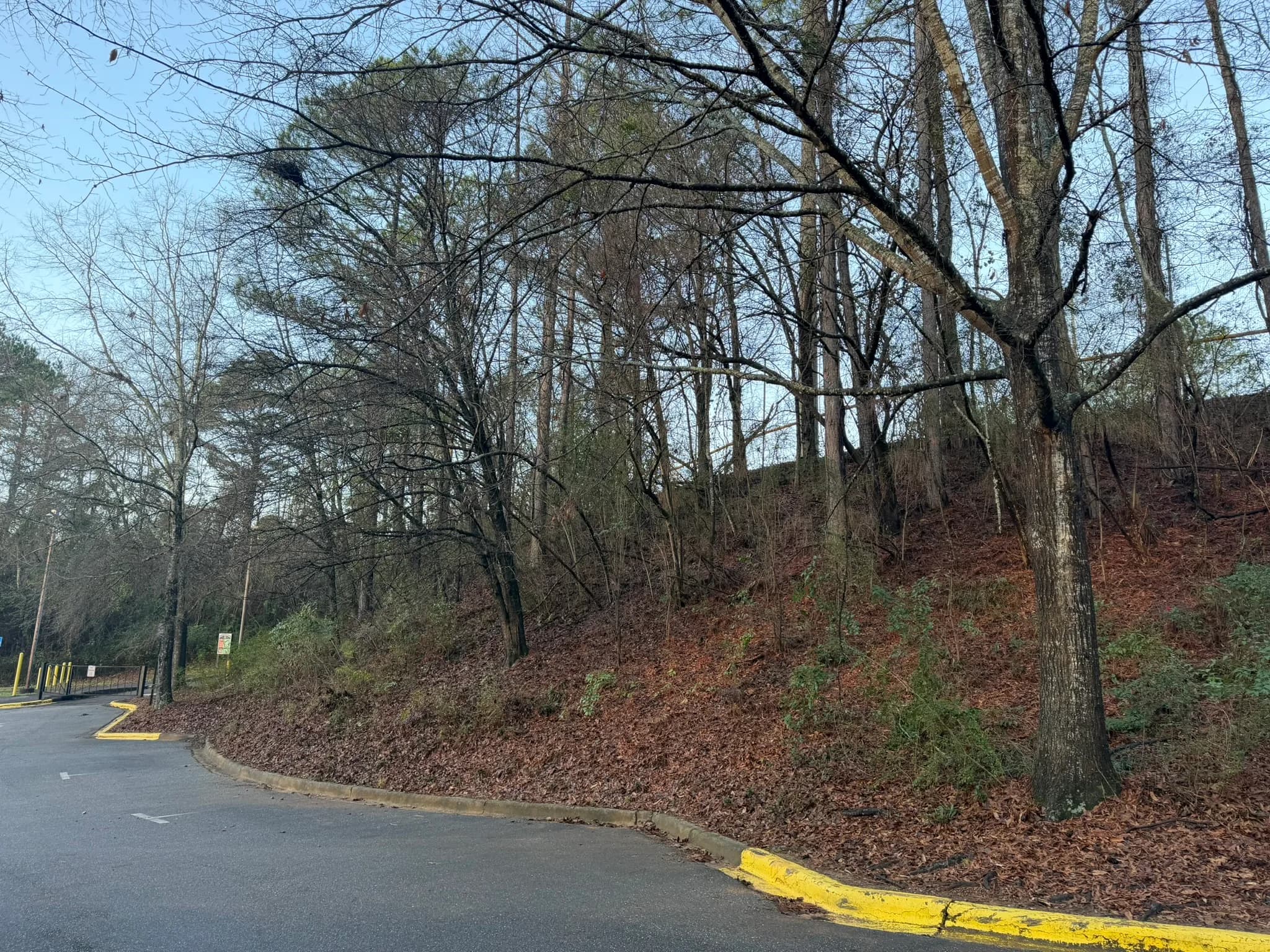 Comprehensive Land Clearing and Site Preparation — photo 15