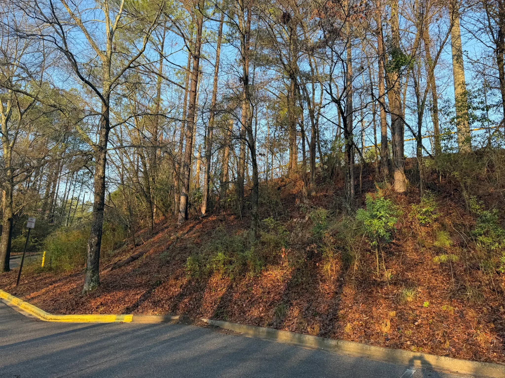 Comprehensive Land Clearing and Site Preparation — photo 32