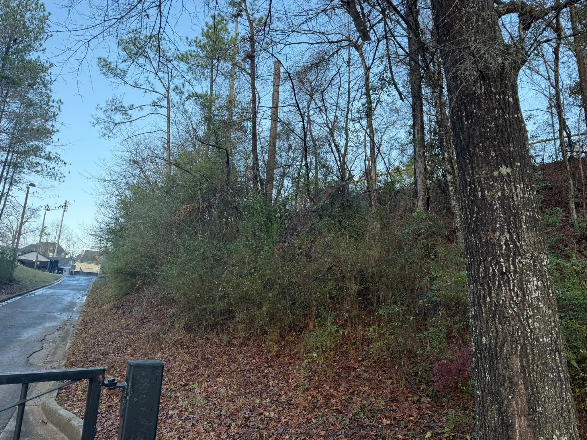 Comprehensive Land Clearing and Site Preparation — photo 3