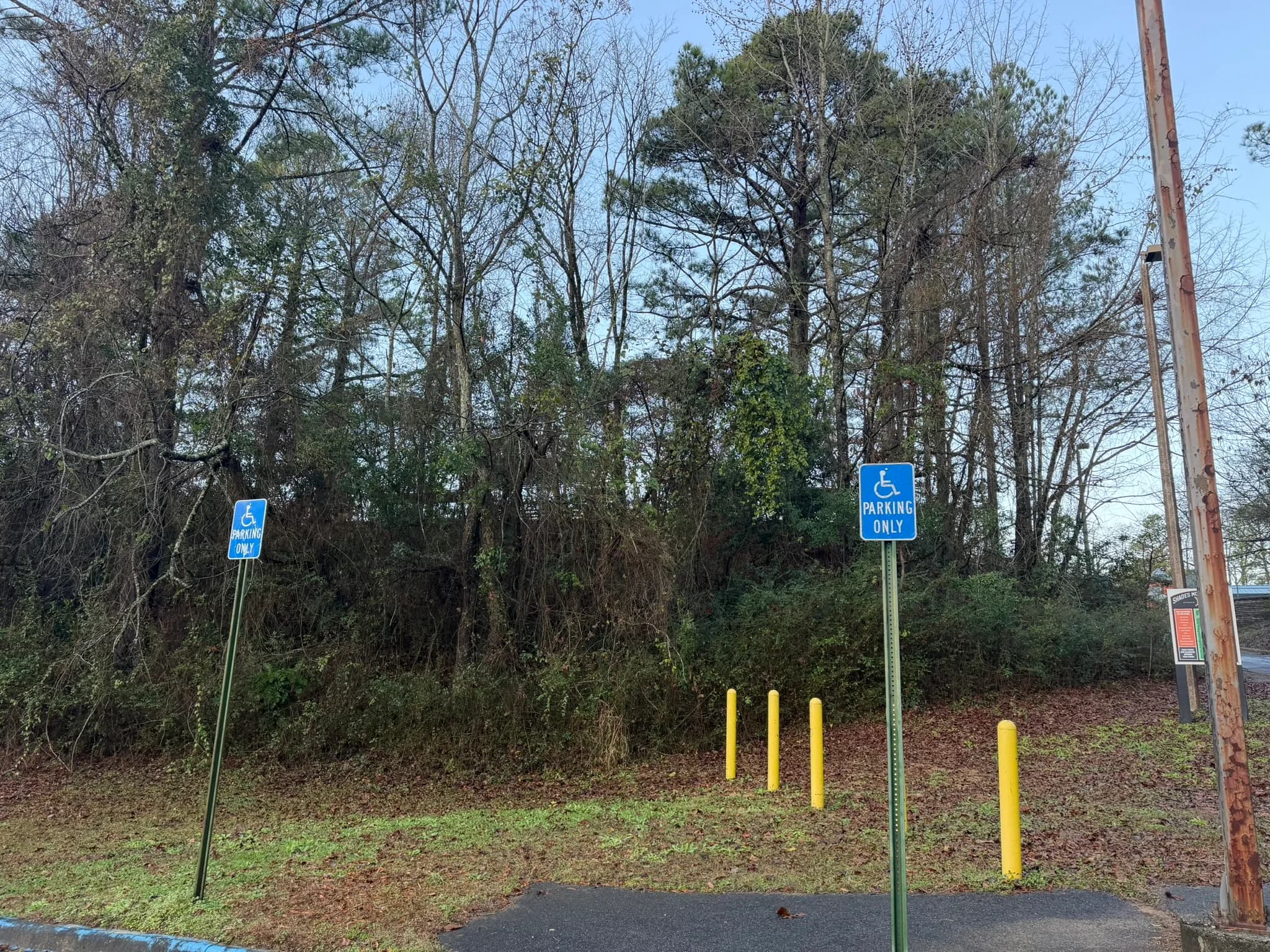 Comprehensive Land Clearing and Site Preparation — photo 44