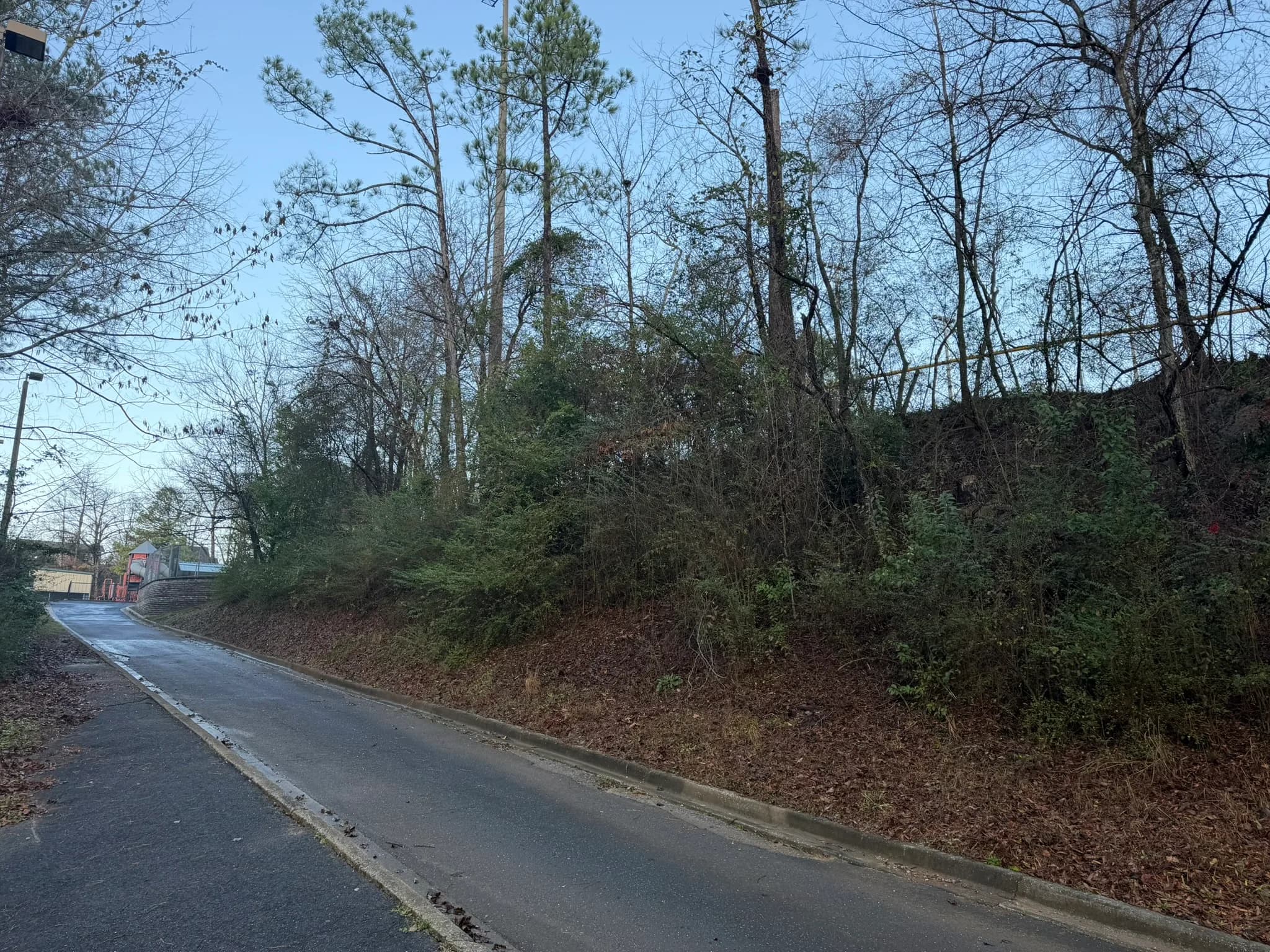 Comprehensive Land Clearing and Site Preparation — photo 4